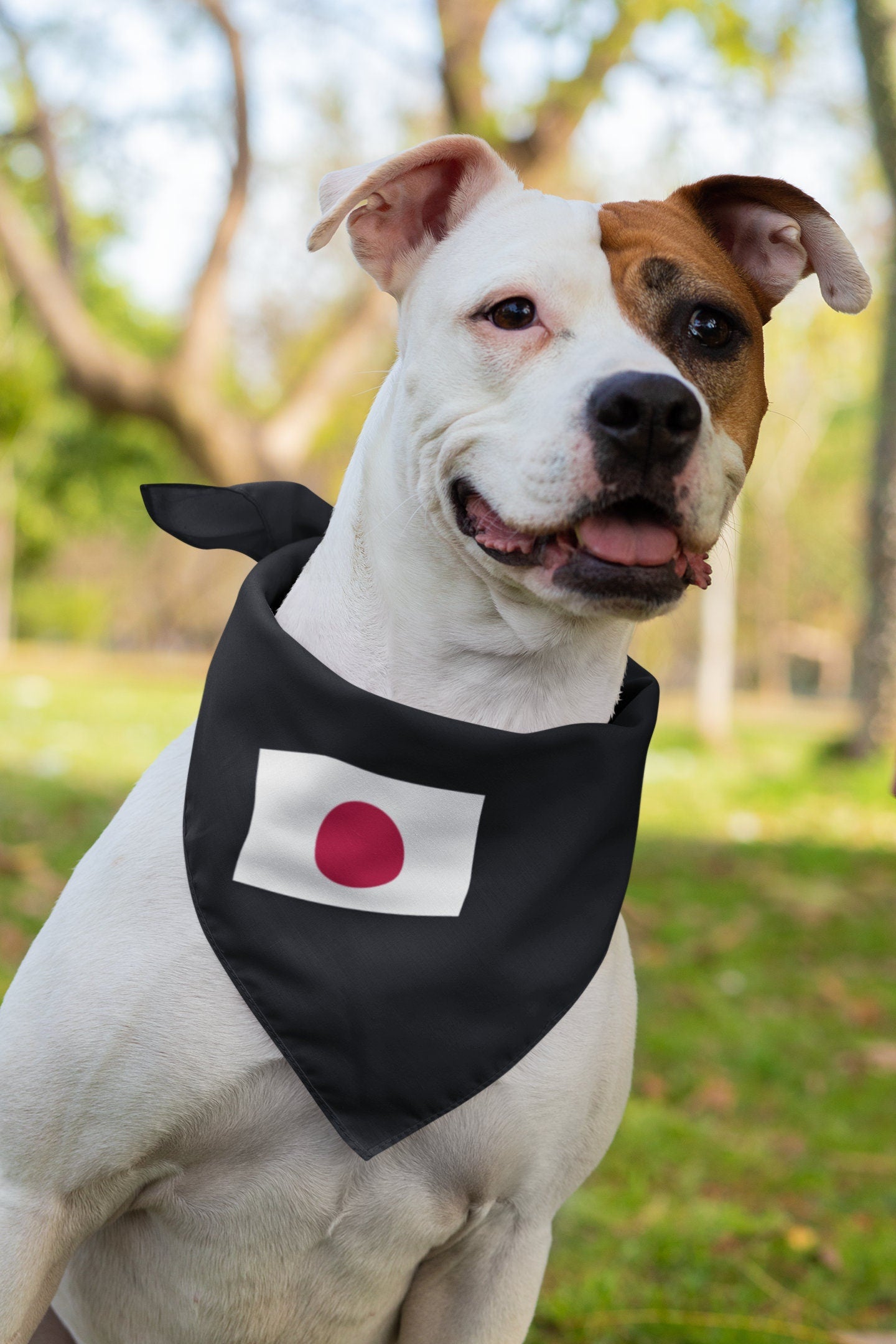 Japan Flag Iron On Heat Transfer Vinyl HTV / 日本国 / Japanese / Tokyo / Nippon