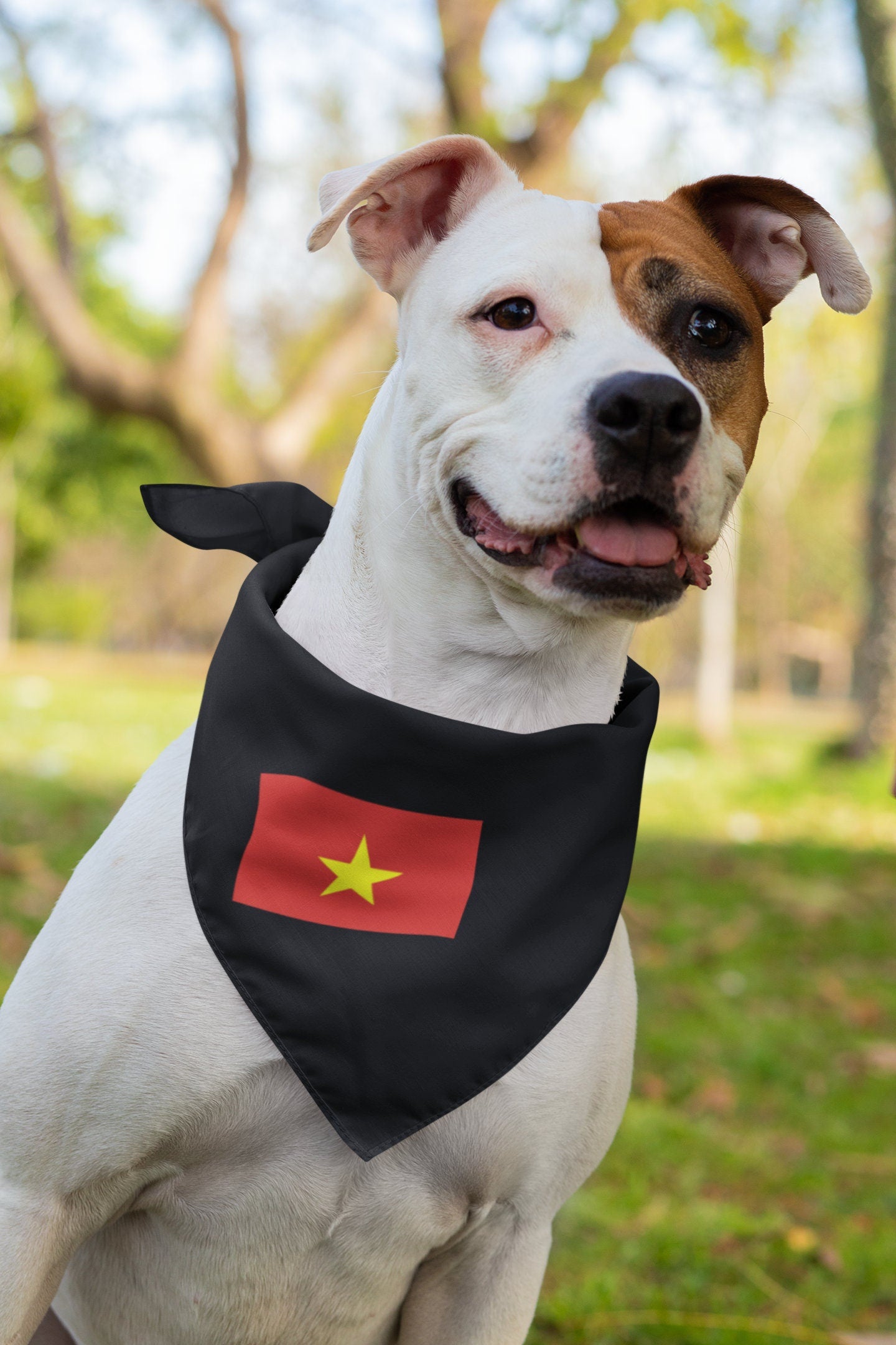 Vietnam Flag Iron On Heat Transfer Vinyl HTV / Socialist Republic of Vietnam / Hanoi / Vietnamese