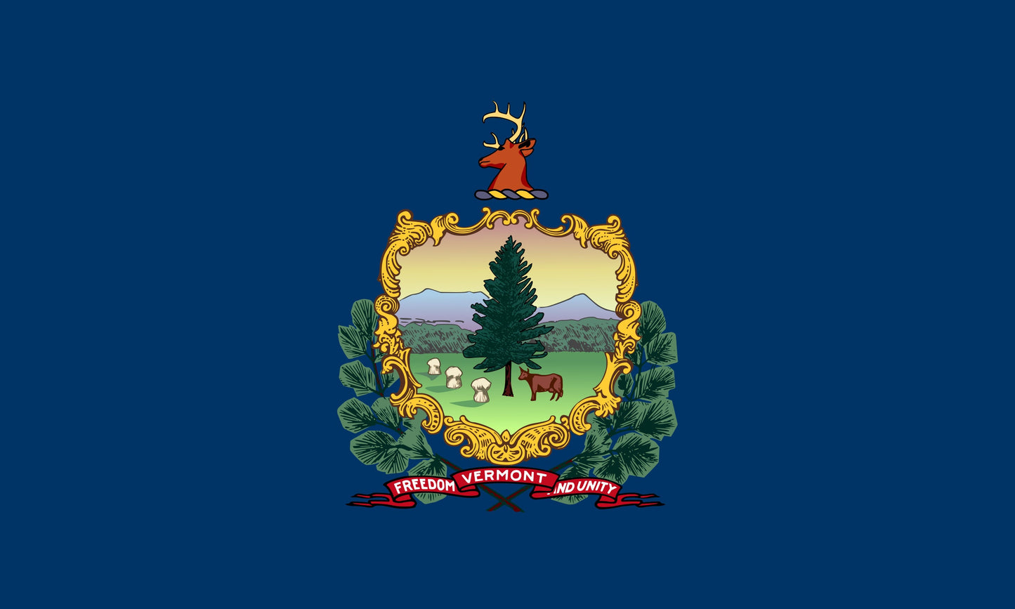 State of Vermont Flag Iron On Heat Transfer Vinyl HTV  Vermont State  Montpelier  The Green Mountain State /