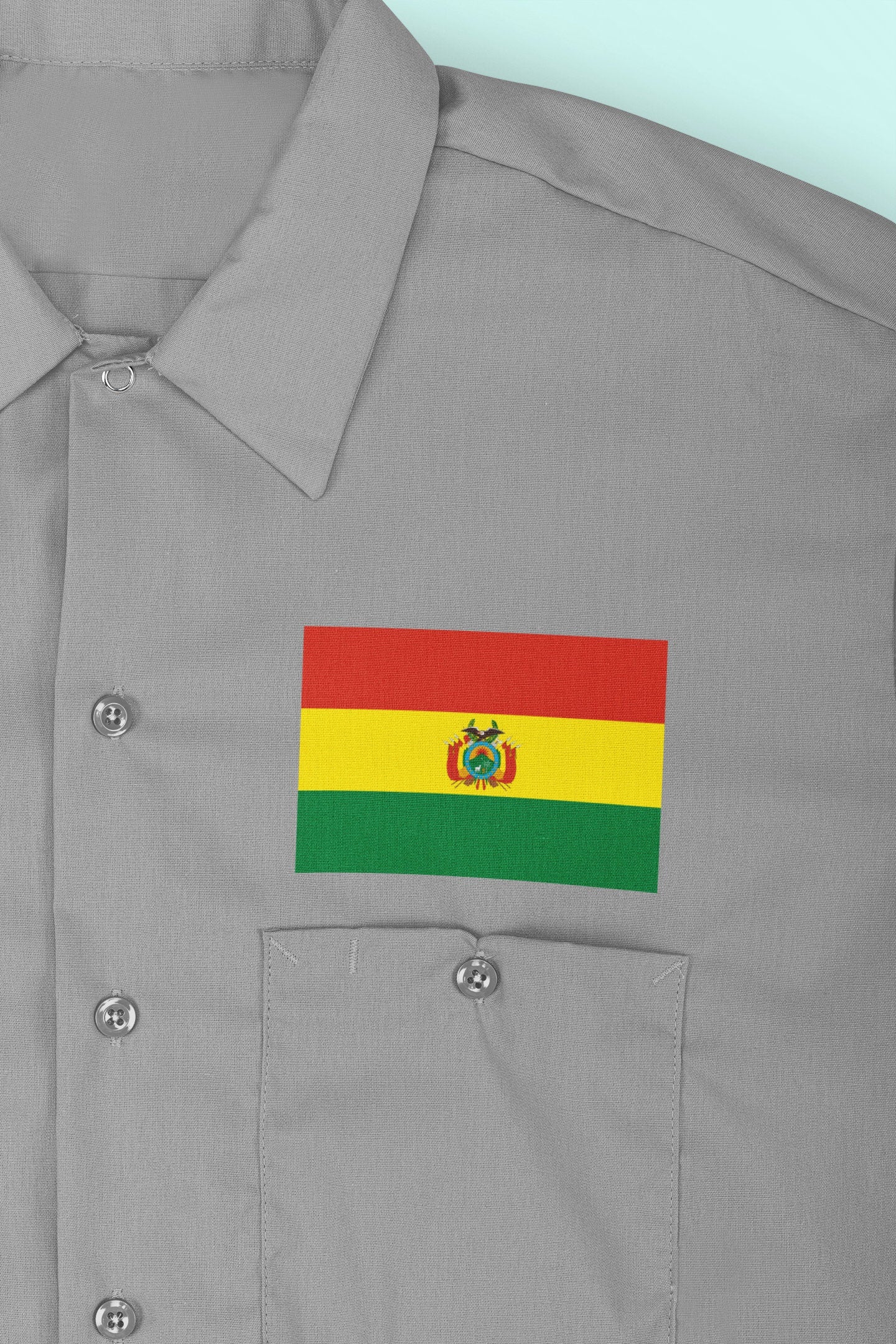 Bolivia Flag Iron On Heat Transfer Vinyl HTV / Sucre / La Unión es la Fuerza / the Plurinational State of Bolivia