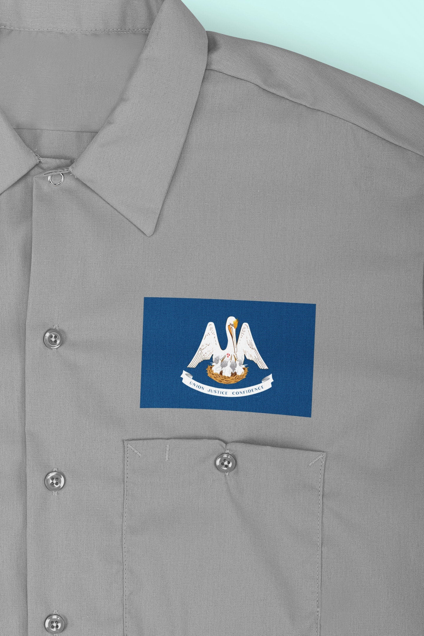 State of Louisiana Flag Iron On Heat Transfer Vinyl HTV  Louisiana State  Baton Rouge  The Pelican State /