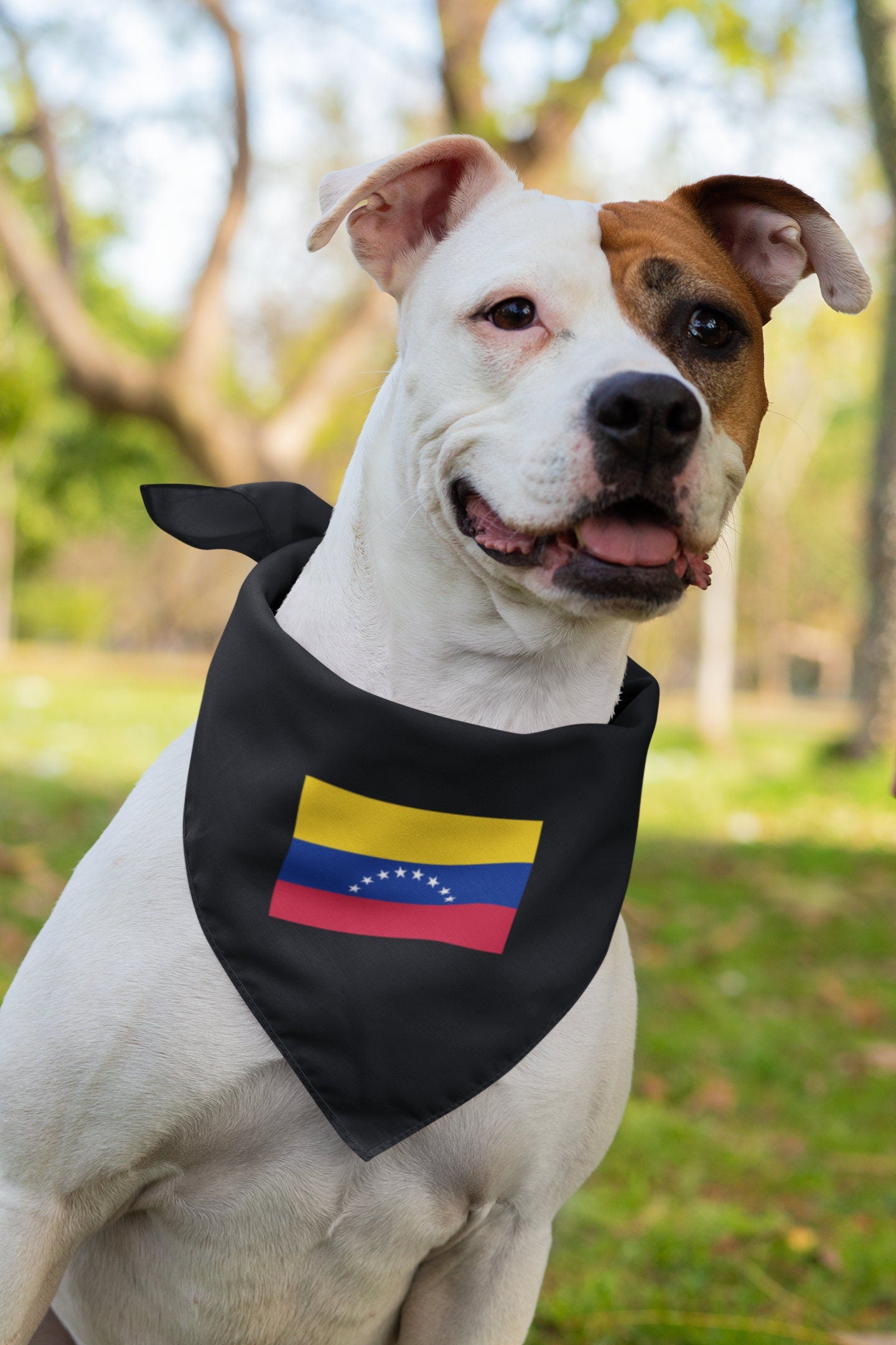 Venezuela Flag Iron On Heat Transfer Vinyl HTV Bolivarian Republic of Venezuela / República Bolivariana de Venezuela / Caracas / Venezuelan