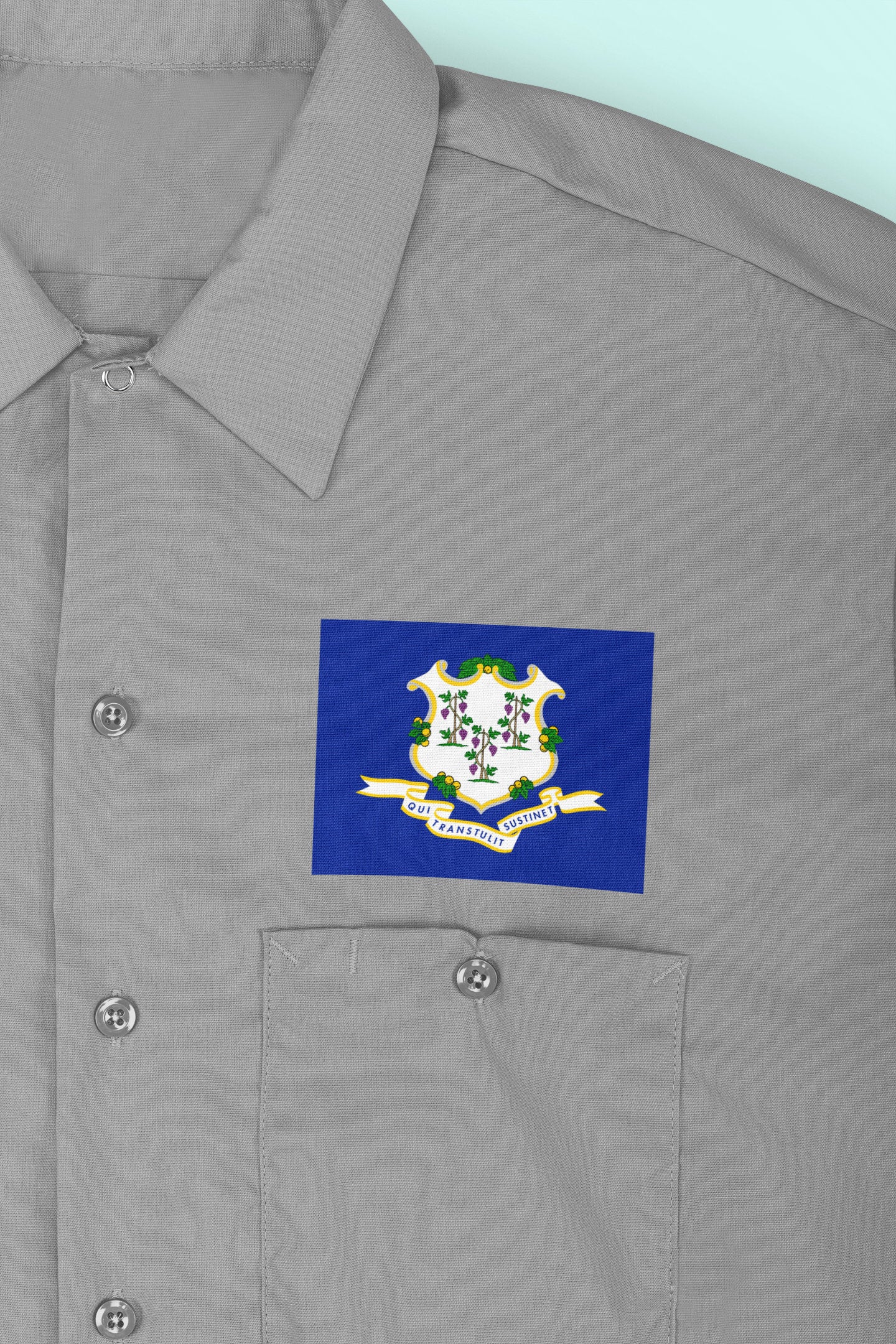 State of Connecticut Flag Iron On Heat Transfer Vinyl HTV Connecticut State  Hartford  The Constitution State  Nutmeg State  Provision State