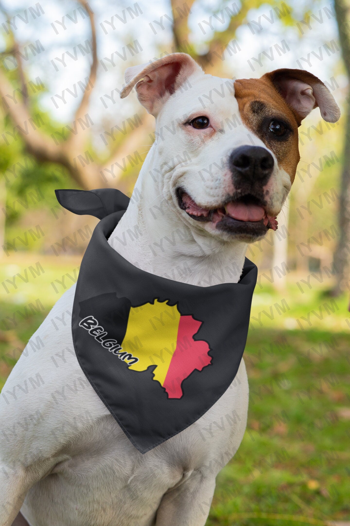 Belgium Map Iron On Heat Transfer Vinyl HTV / Brussels / Eendracht maakt macht / L'union fait la force / Einigkeit macht stark / Belgian