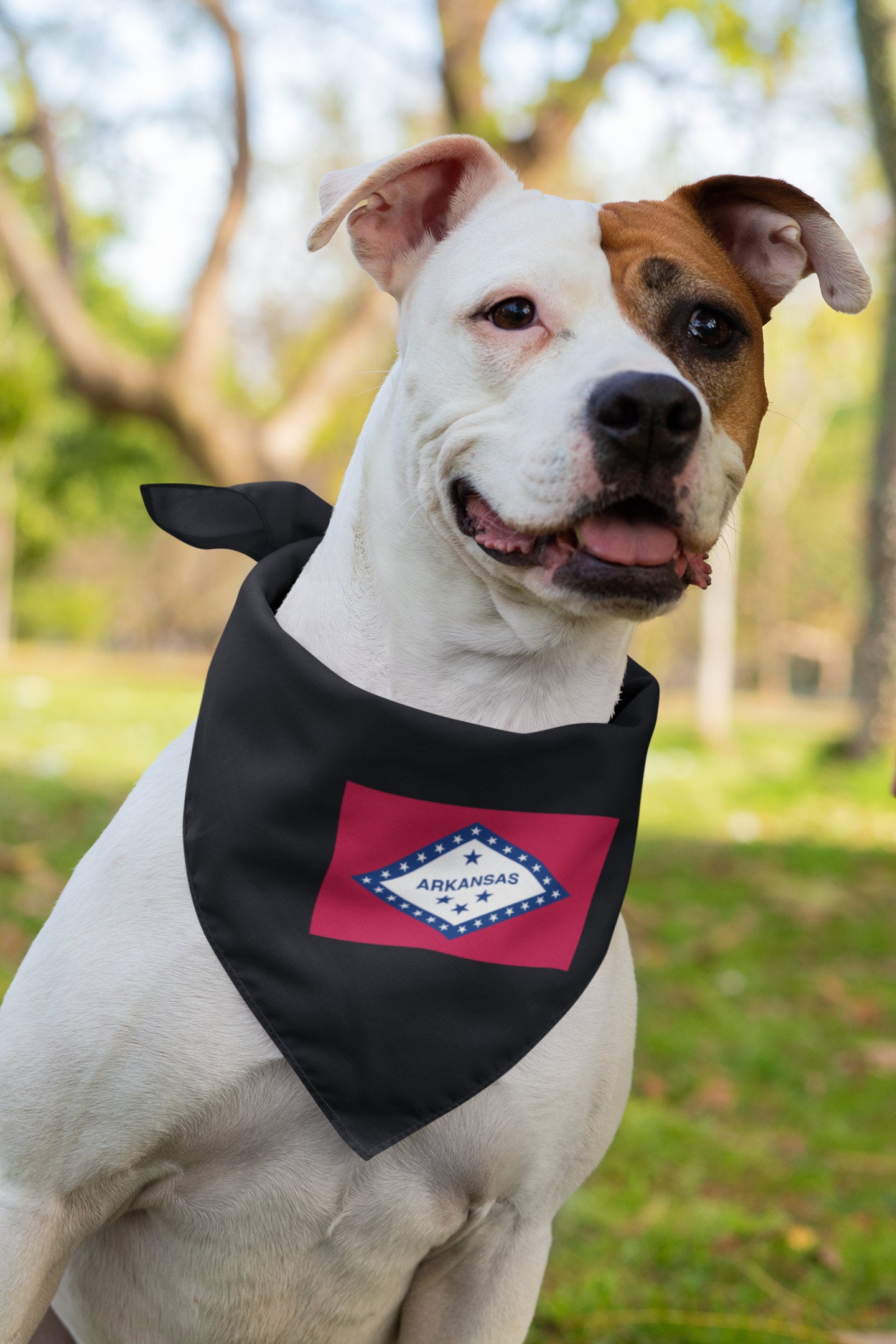 State of Arkansas Flag Iron On Heat Transfer Vinyl HTV Arkansas State Little Rock The Natural State Bear State Bowie State Hot Springs State