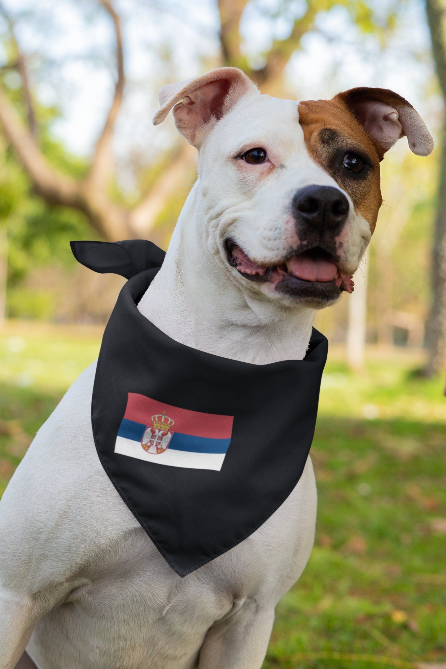 Serbia Flag Iron On Heat Transfer Vinyl HTV / Republic of Serbia / Република Србија / Belgrade / Serbian /