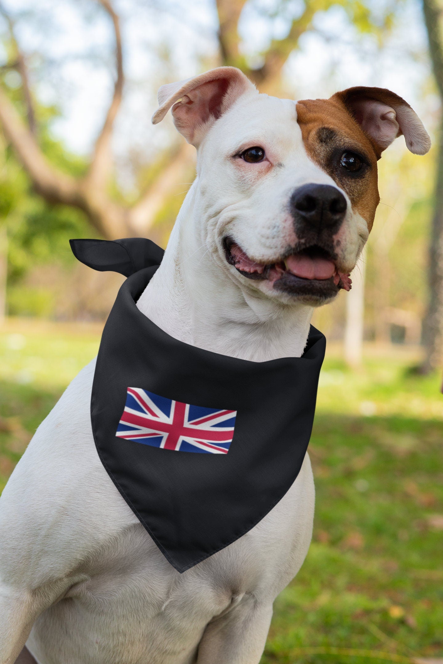 United Kingdom Flag Iron On Heat Transfer Vinyl HTV / United Kingdom of Great Britain and Northern Ireland / UK / Britain / London /