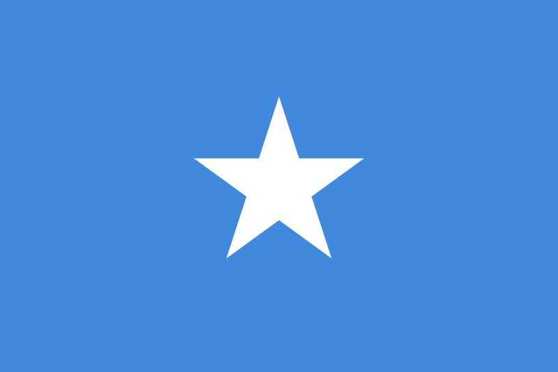 Somalia Flag Iron On Heat Transfer Vinyl HTV Federal Republic of Somalia / Jamhuuriyadda Federaalka Soomaaliya / Mogadishu / Somali Somalian