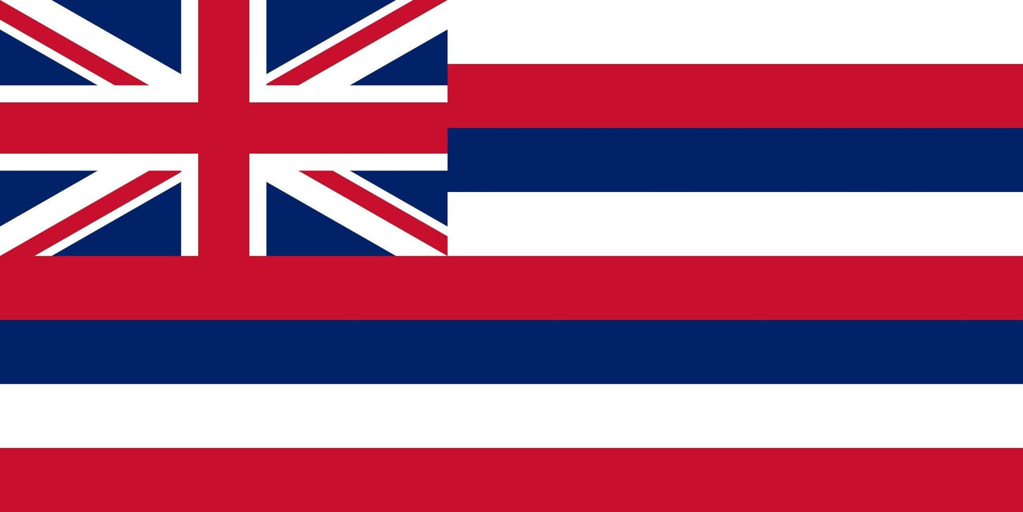 State of Hawaii Flag Iron On Heat Transfer Vinyl HTV Hawaii State  Honolulu  The Aloha State Paradise of the Pacific Pineapple State Rainbow