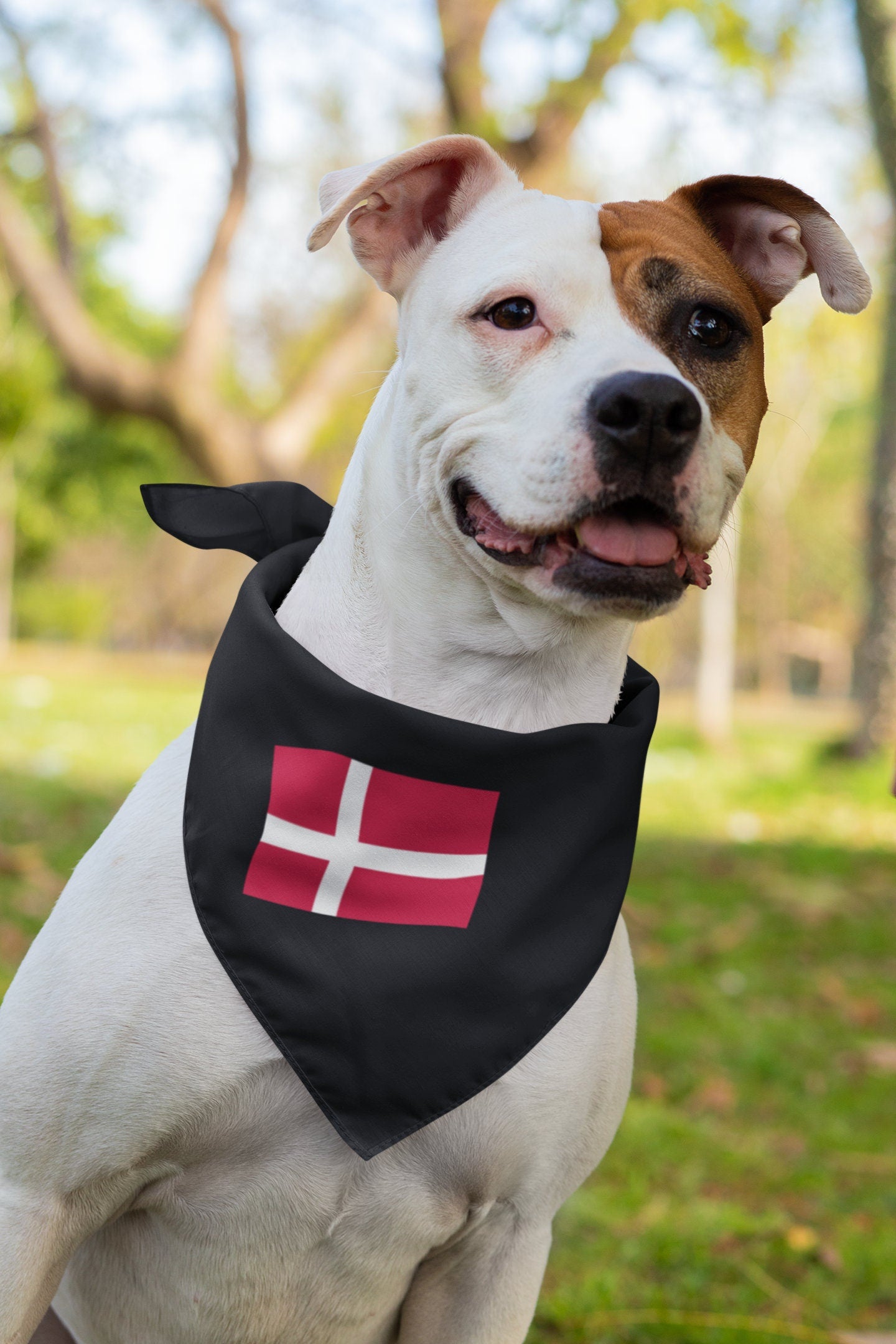 Denmark Flag Iron On Heat Transfer Vinyl HTV / Copenhagen / Guds hjælp, folkets kærlighed, Danmarks styrke / Danish