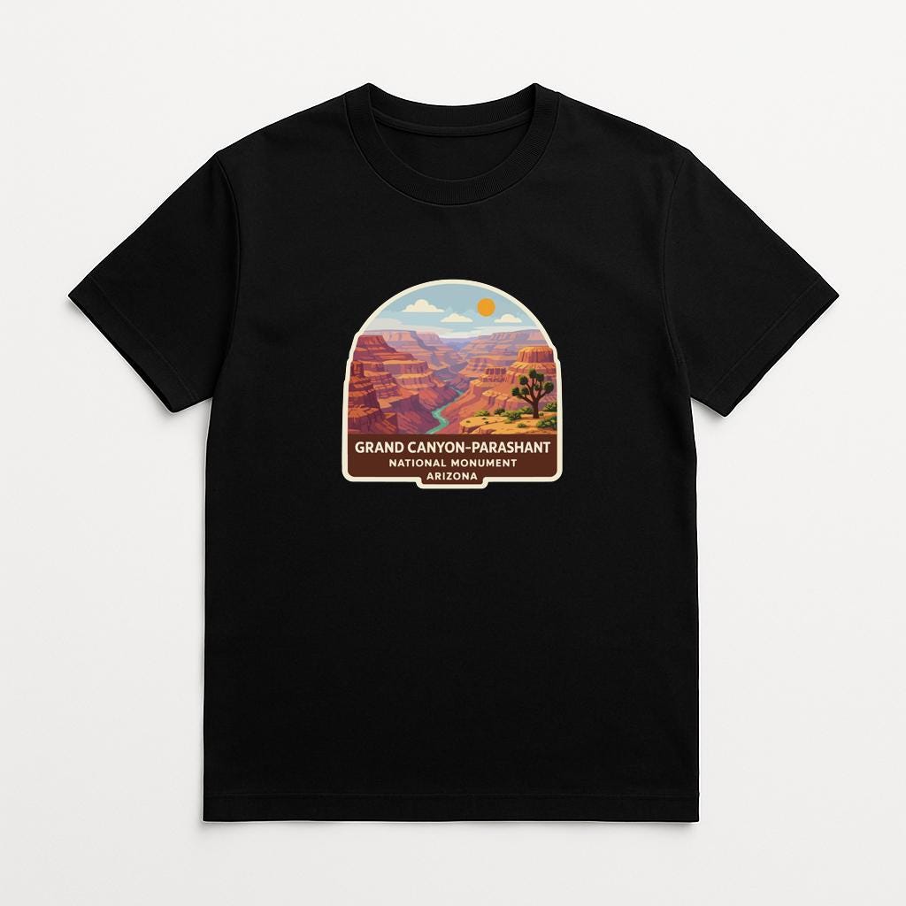 A black t-shirt with a graphic design depicting the Grand Canyon, a famous landmark in Arizona, United States.