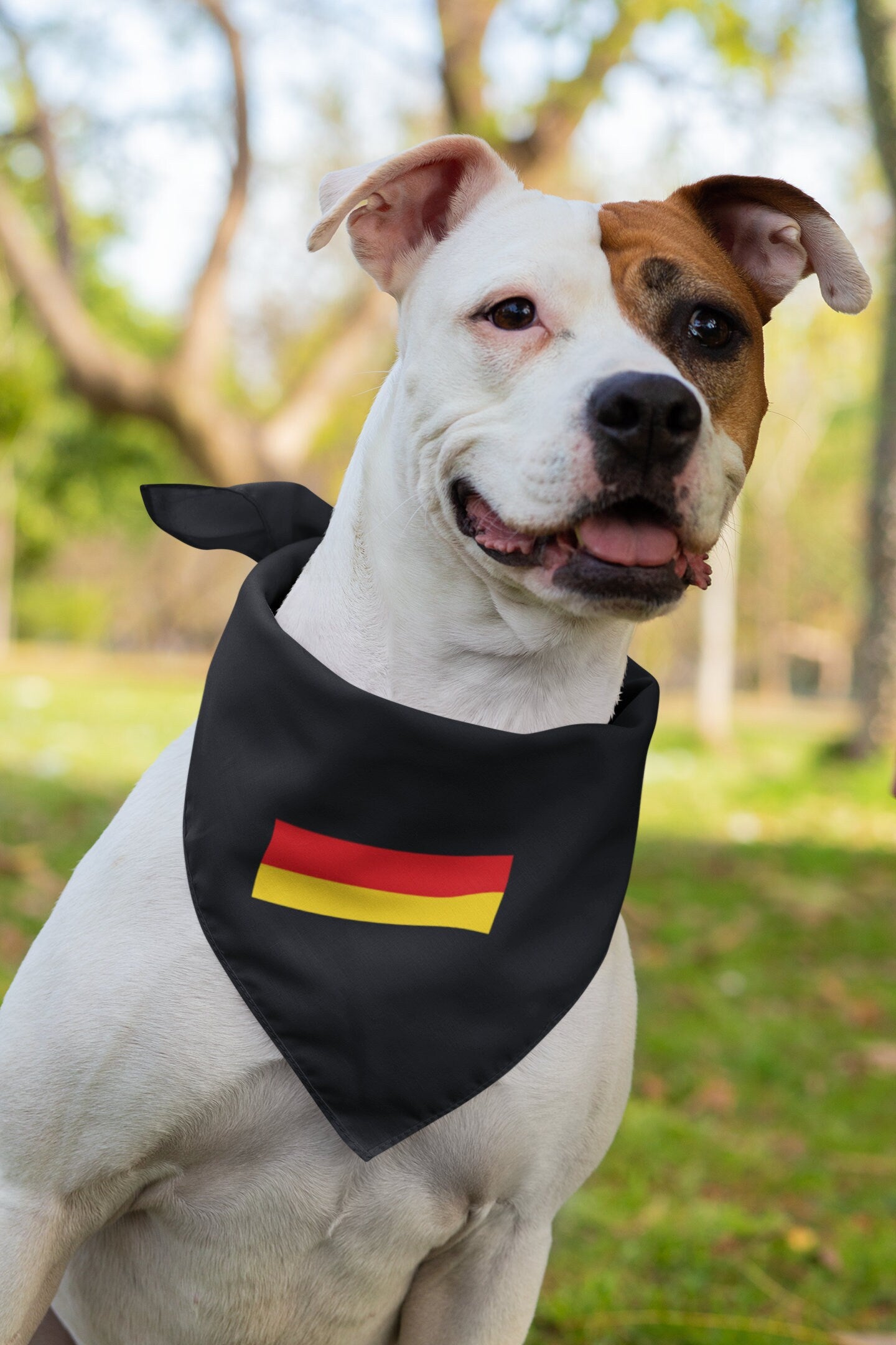 Germany Flag Iron On Heat Transfer Vinyl HTV / Federal Republic of Germany / Berlin / German / Bundesrepublik Deutschland