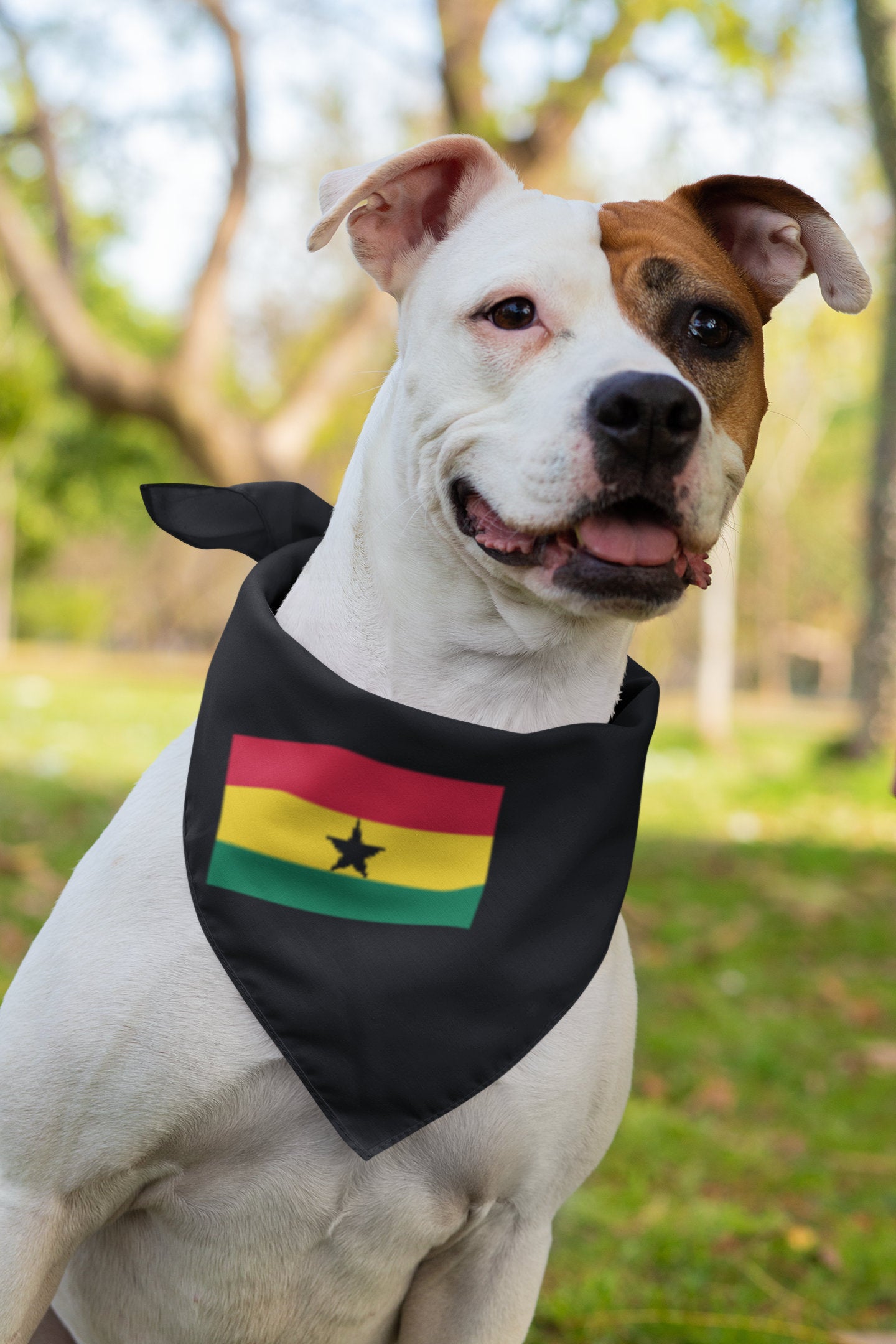 Ghana Flag Iron On Heat Transfer Vinyl HTV / Republic of Ghana / Freedom and Justice / Accra / Ghanaian