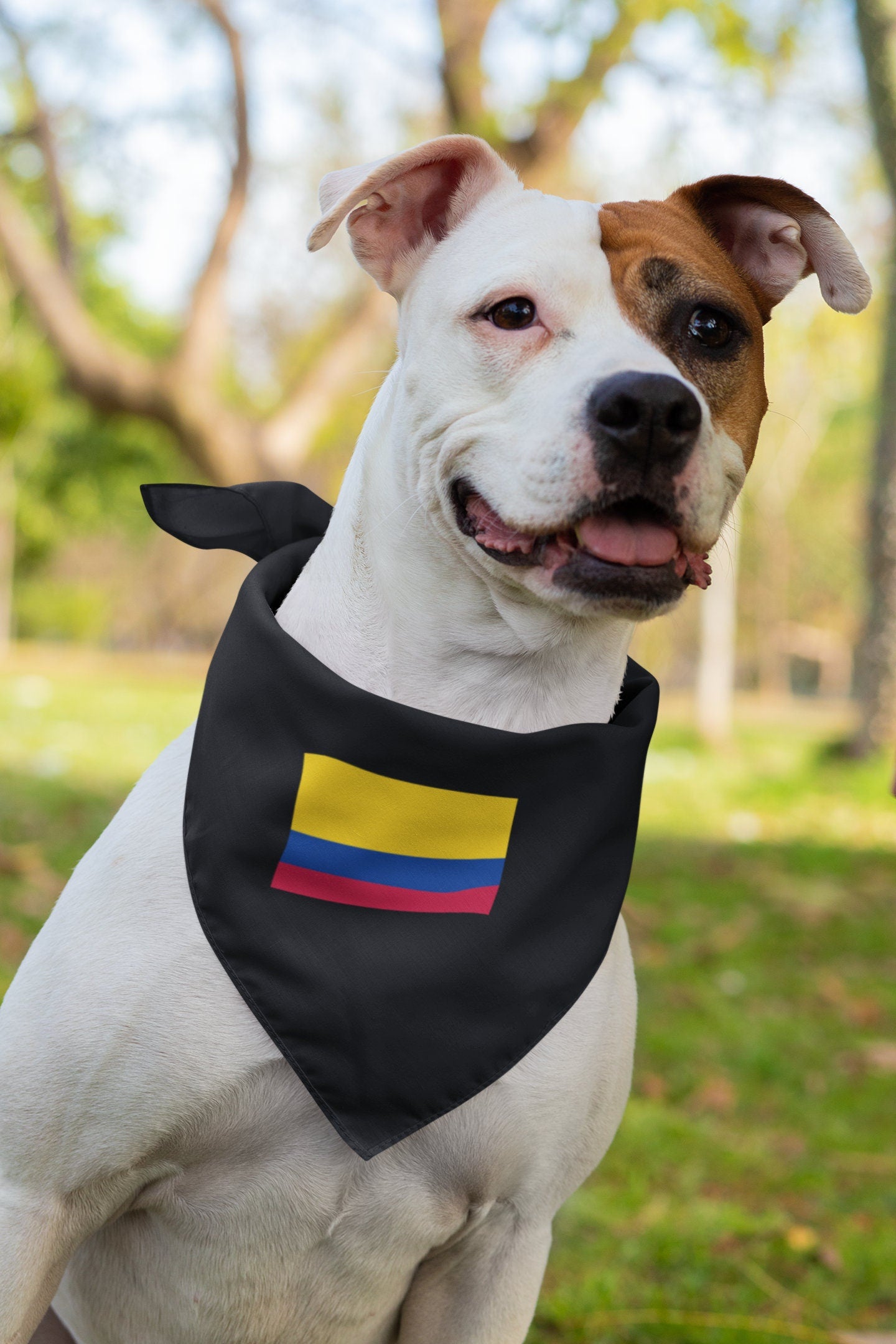 Colombia Flag Iron On Heat Transfer Vinyl HTV / Republic of Colombia / Libertad y Orden / Bogotá / Colombian