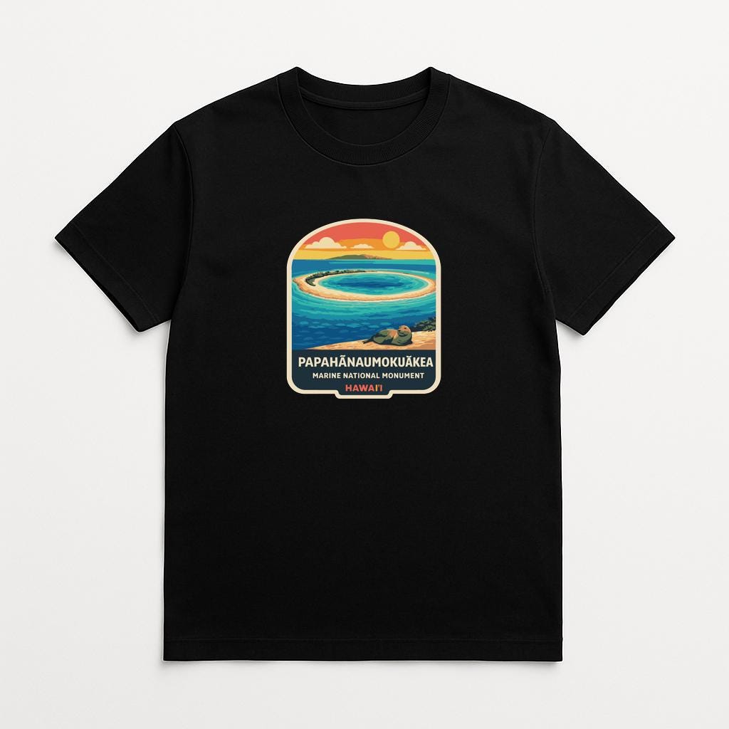 A black t-shirt with a colorful graphic design depicting a tropical beach scene with a circular island in the center.