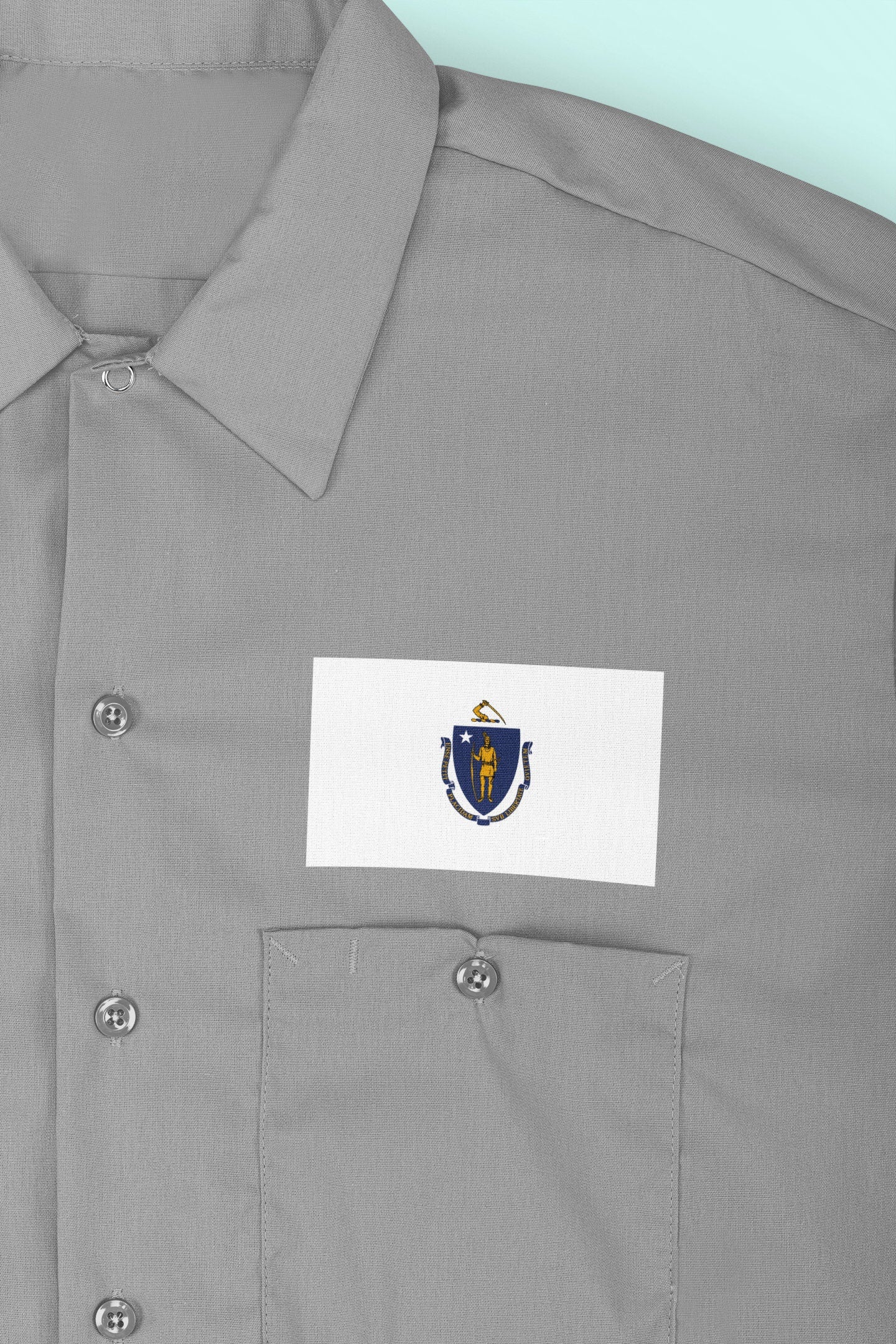 State of Massachusetts Flag Iron On Heat Transfer Vinyl HTV  Massachusetts State  Boston  The Bay State  Baked Bean State  Codfish State /