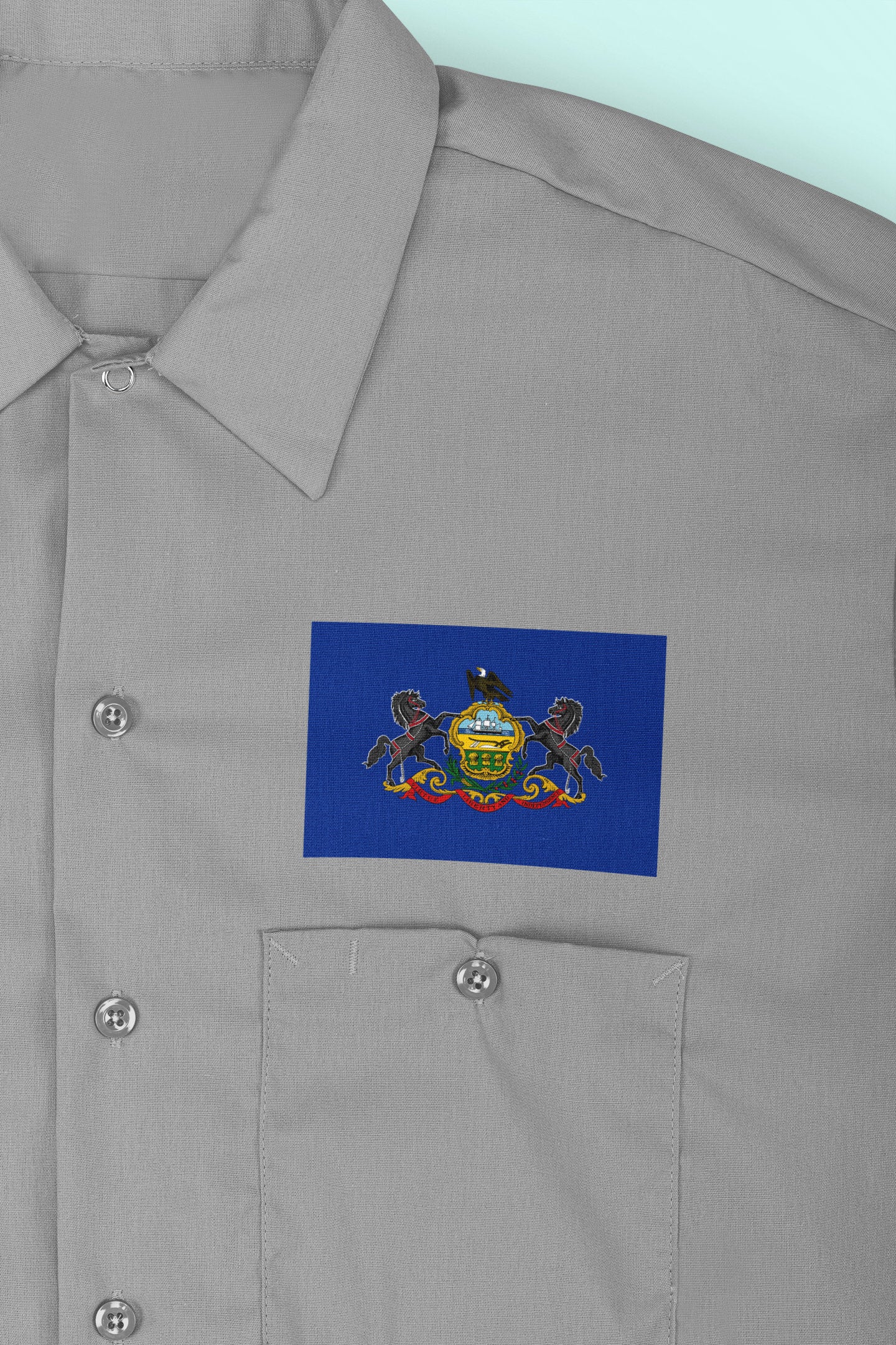 State of Pennsylvania Flag Iron On Heat Transfer Vinyl HTV Pennsylvania State Harrisburg The Keystone State Quaker State Coal State Railroad