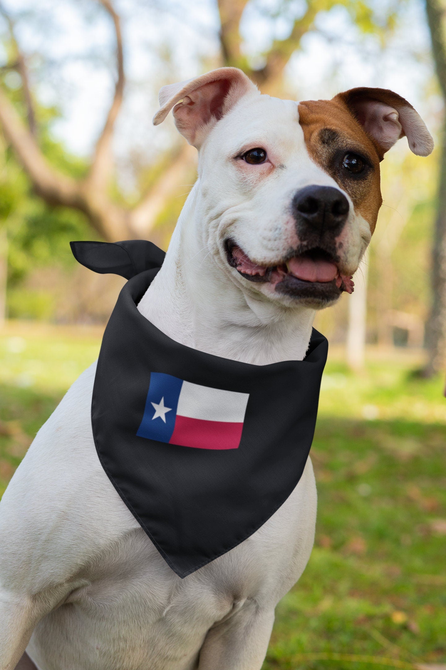 State of Texas Flag Iron On Heat Transfer Vinyl HTV  Texas State  Austin  The Lone Star State /
