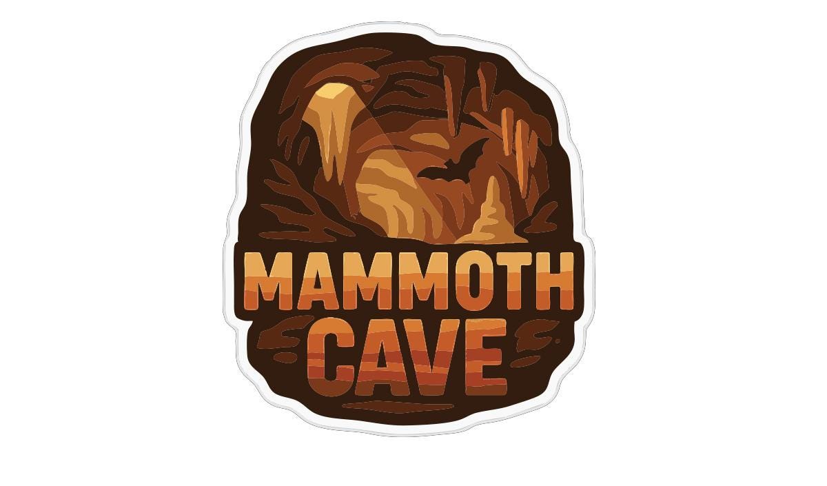 a cave with a bat flying above it.