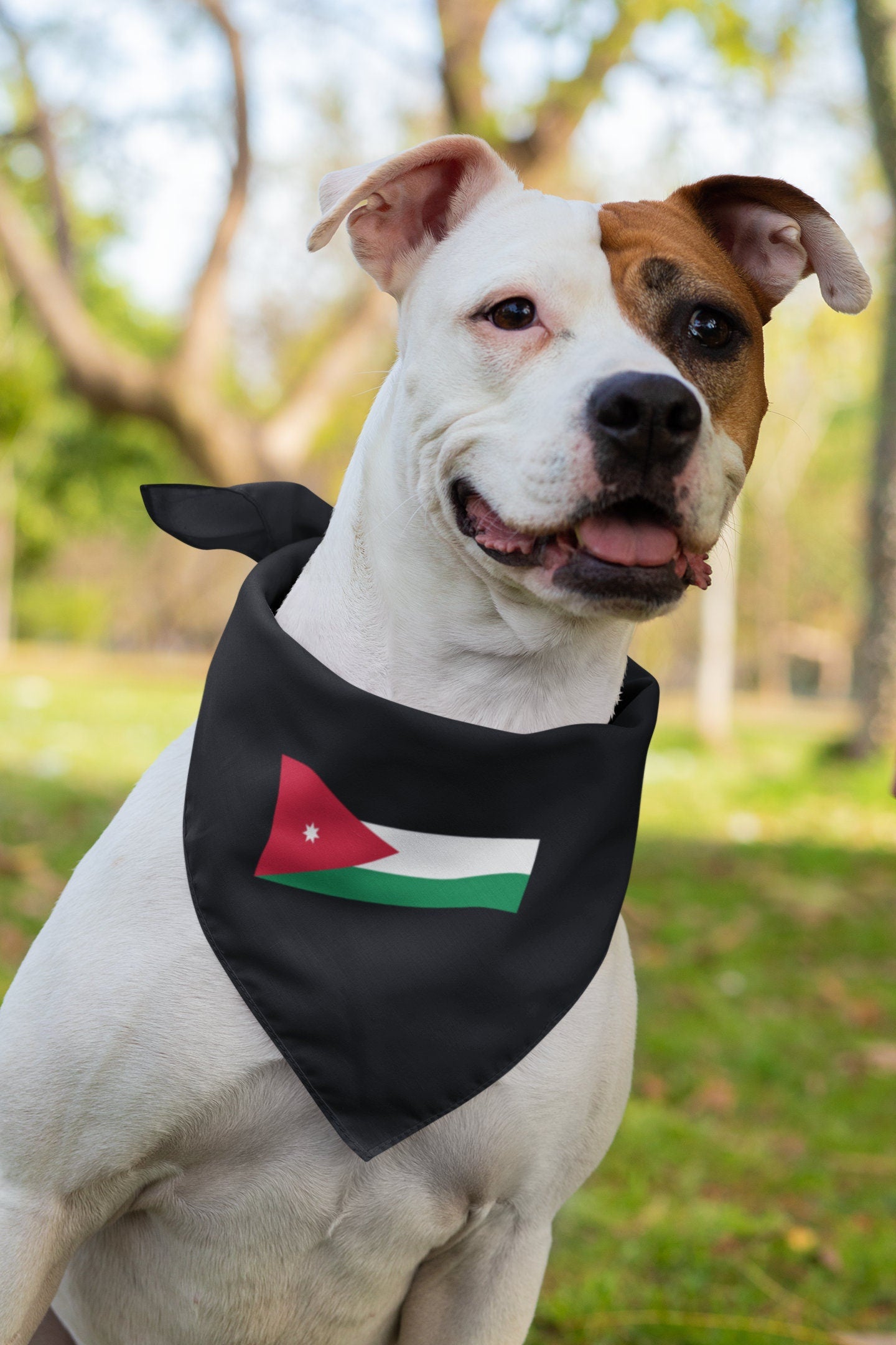 Jordan Flag Iron On Heat Transfer Vinyl HTV / Hashemite Kingdom of Jordan / الله، الوطن، الملك / Amman /