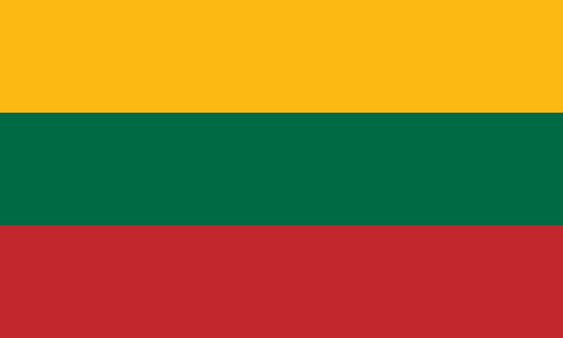 Lithuania Flag Iron On Heat Transfer Vinyl HTV / Republic of Lithuania / Lietuvos Respublika / Vilnius / Lithuanian