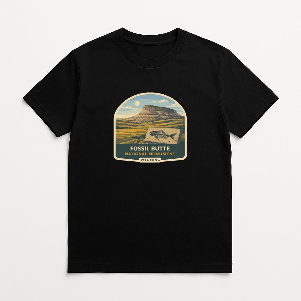 A black t-shirt with a graphic design depicting a mountain landscape and a fish.