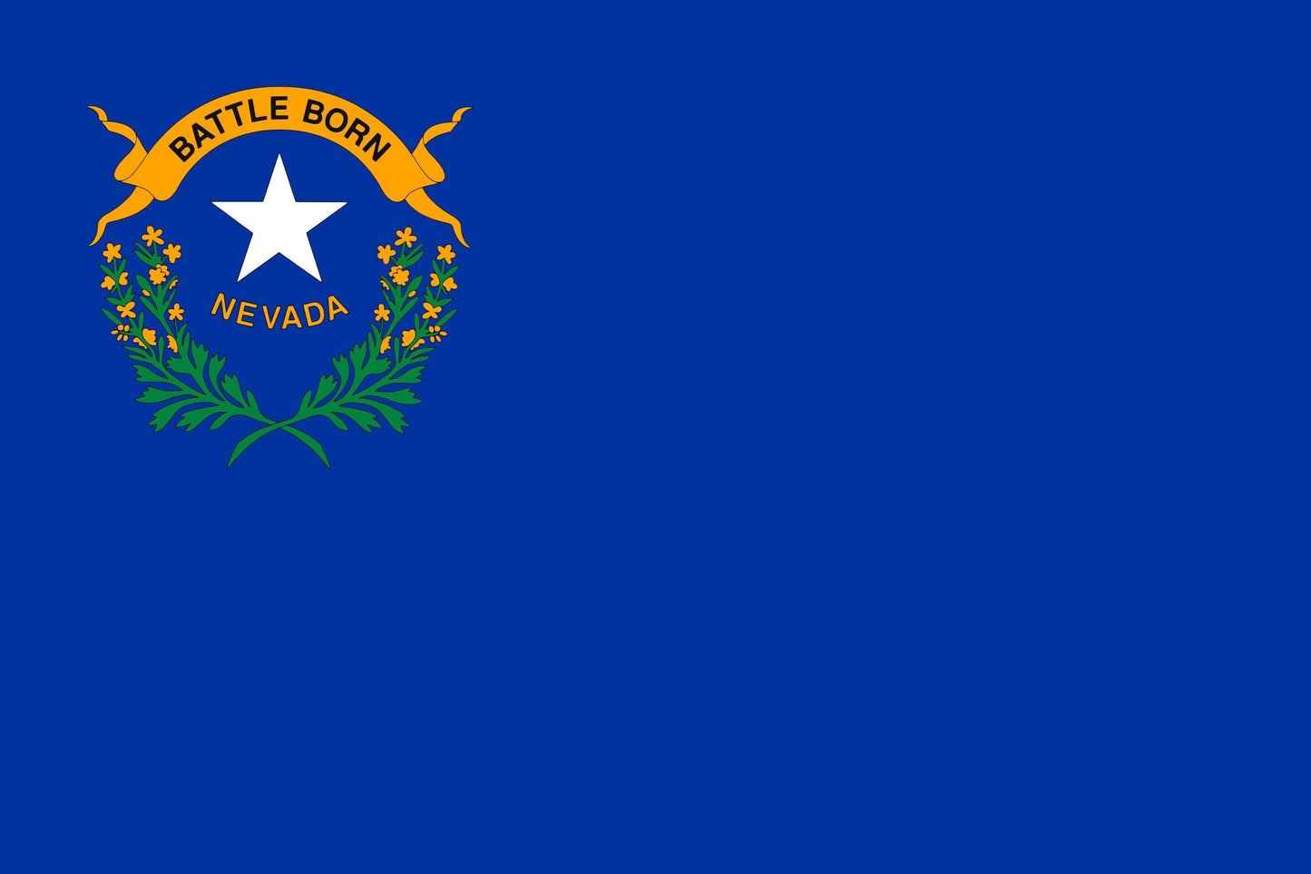State of Nevada Flag Iron On Heat Transfer Vinyl HTV Nevada State Carson City Silver State Battle Born State Sagebrush State Casino State