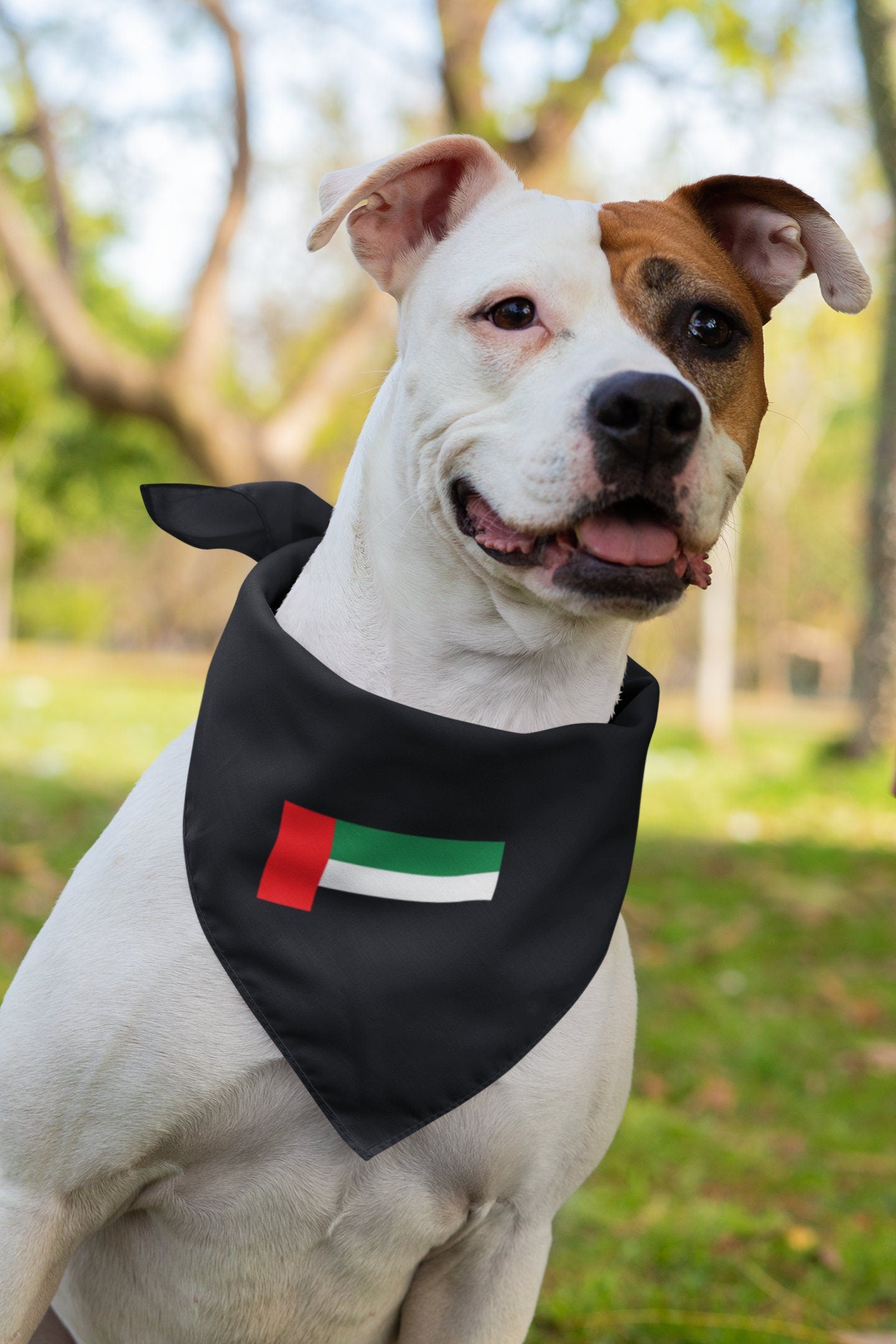 United Arab Emirates Flag Iron On Heat Transfer Vinyl HTV / UAE / Abu Dhabi / Dubai / Emirati