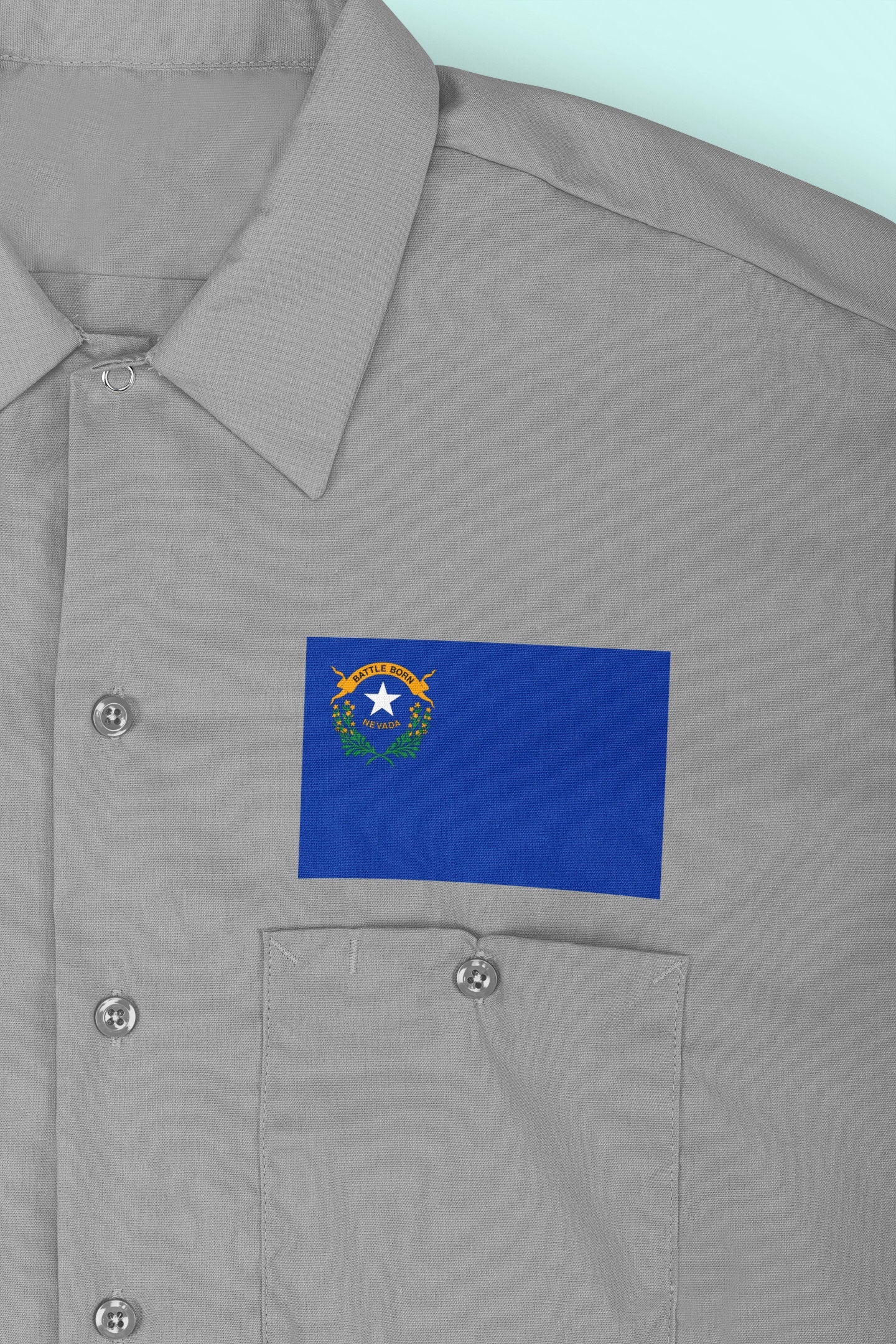 State of Nevada Flag Iron On Heat Transfer Vinyl HTV Nevada State Carson City Silver State Battle Born State Sagebrush State Casino State