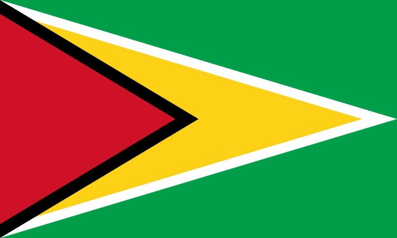 Guyana Flag Sticker Decal / Co‑operative Republic of Guyana / One People, One Nation, One Destiny / Georgetown / Guyanese