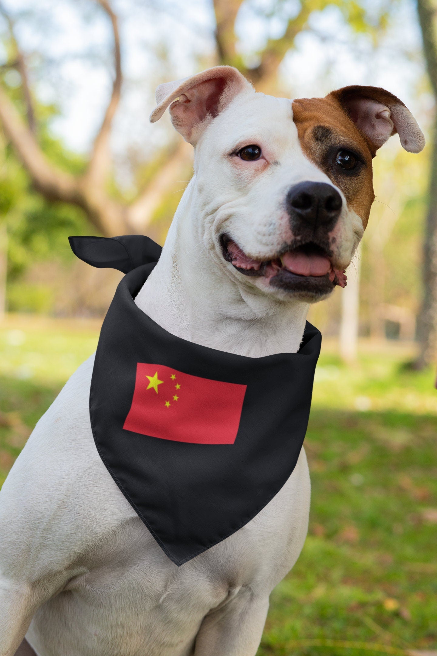 China Flag Iron On Heat Transfer Vinyl HTV / People's Republic of China / PRC / Beijing / Chinese /