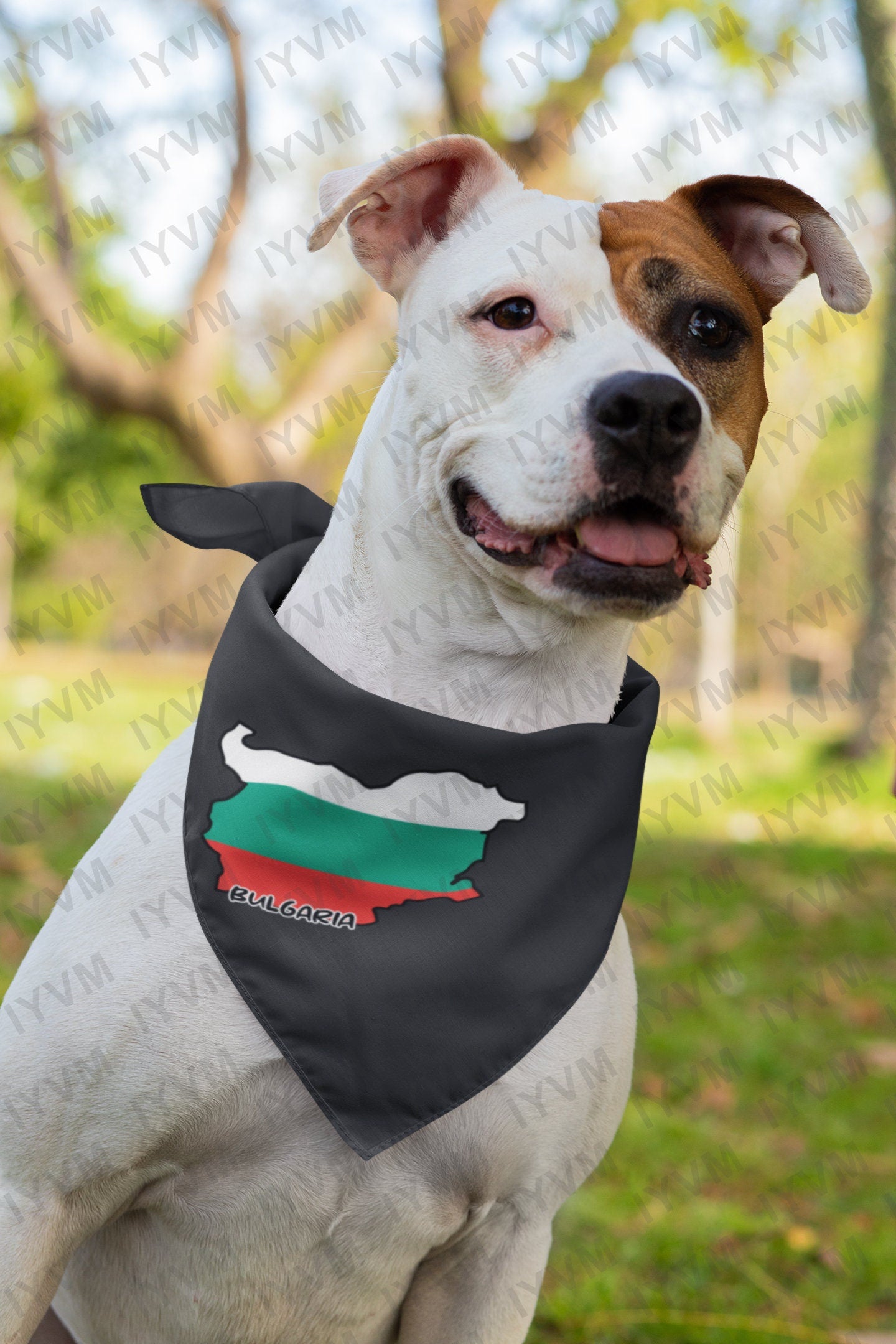 Bulgaria Map Iron On Heat Transfer Vinyl HTV / Sofia / Republic of Bulgaria / Съединението прави силата / Bulgarian