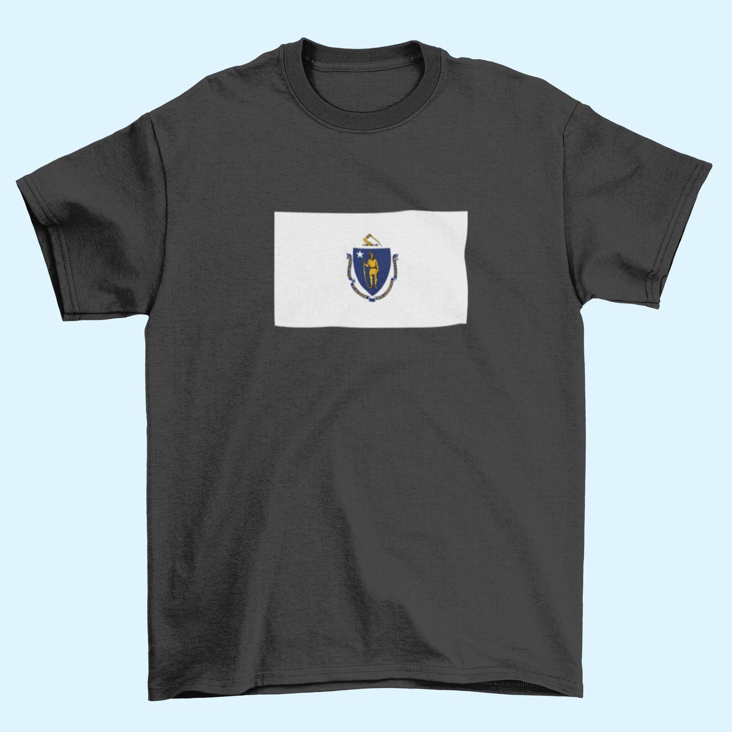 State of Massachusetts Flag Iron On Heat Transfer Vinyl HTV  Massachusetts State  Boston  The Bay State  Baked Bean State  Codfish State /