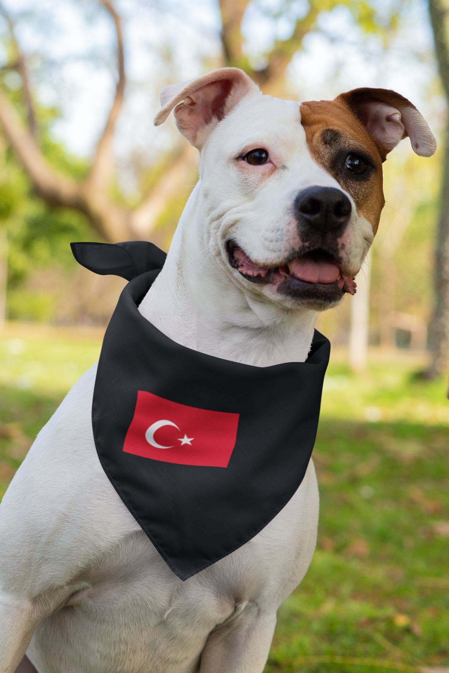 Turkey Flag Iron On Heat Transfer Vinyl HTV / Republic of Turkey / Türkiye Cumhuriyeti / Ankara / Turkish /
