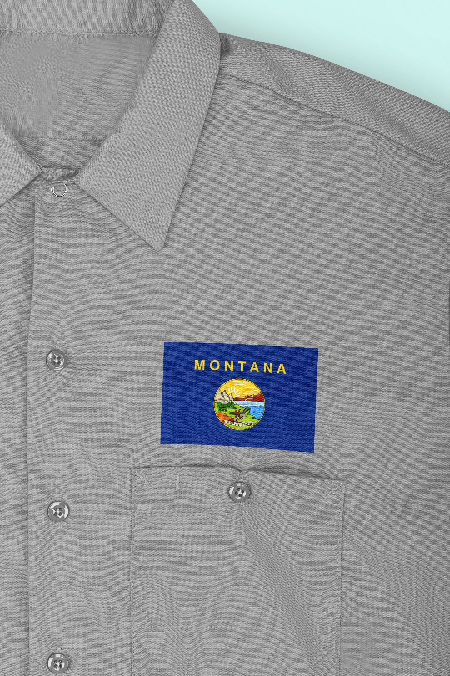 State of Montana Flag Iron On Heat Transfer Vinyl HTV  Montana State  Helena  The Treasure State  Big Sky Country  The Last Best Place