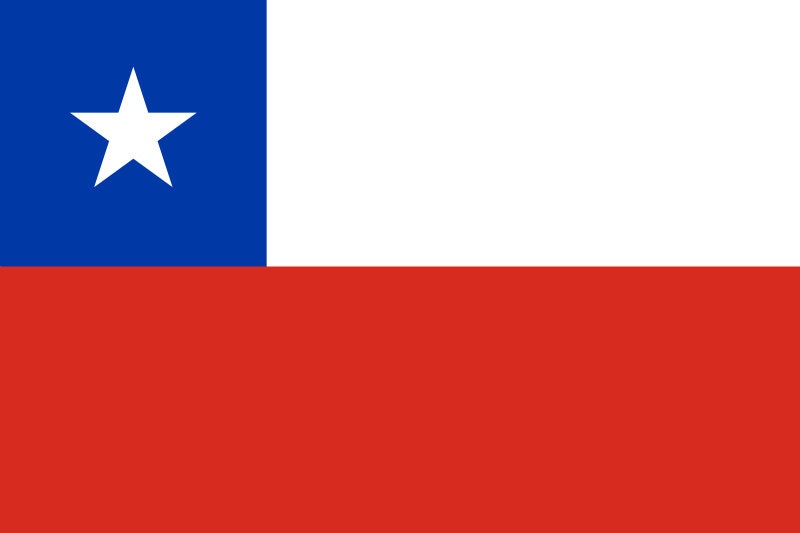 Chile Flag Iron On Heat Transfer Vinyl HTV / Republic of Chile / Por la razón o la fuerza / Santiago /