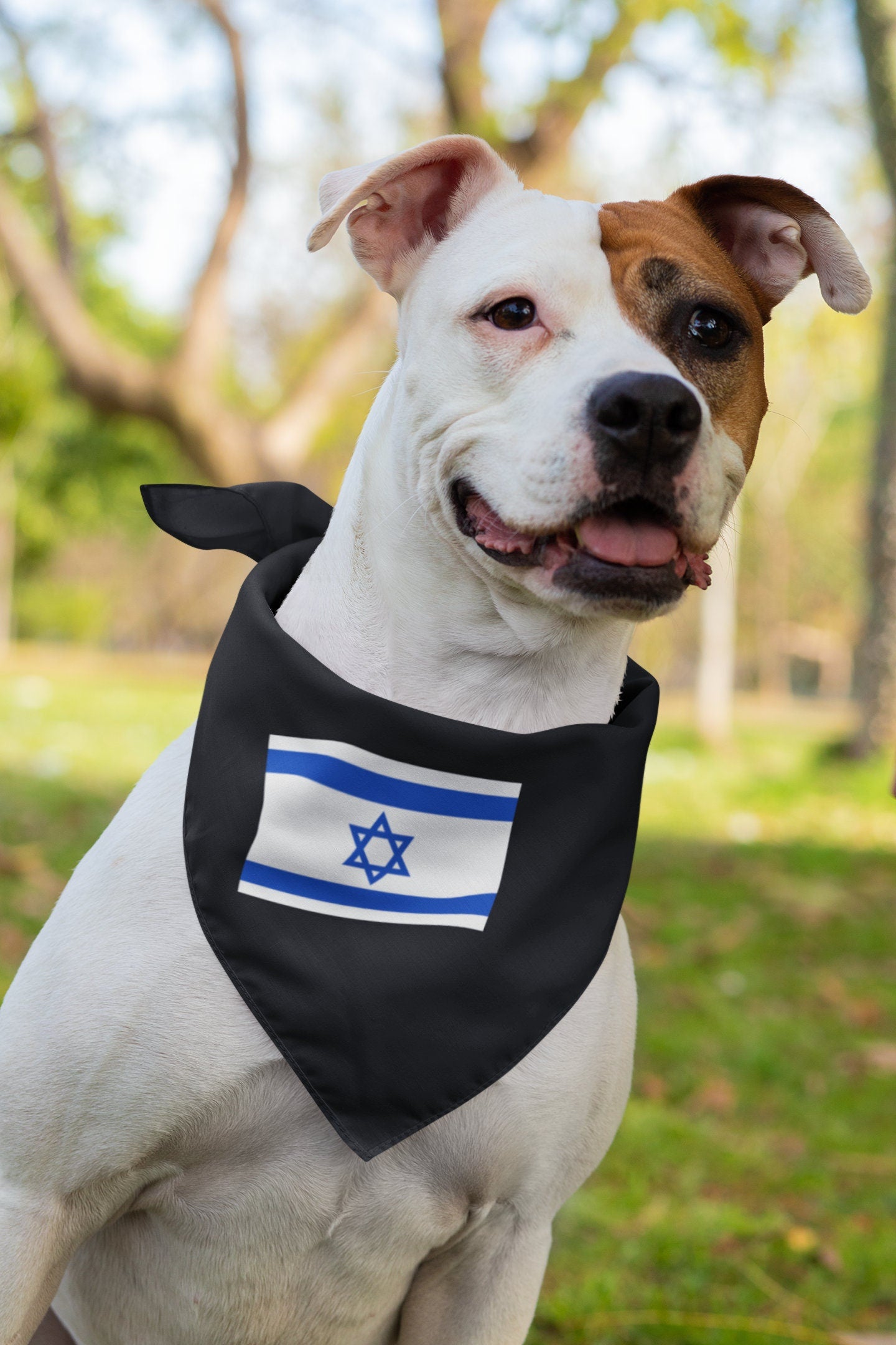 Israel Flag Iron On Heat Transfer Vinyl HTV / State of Israel / Jerusalem / Hebrew /