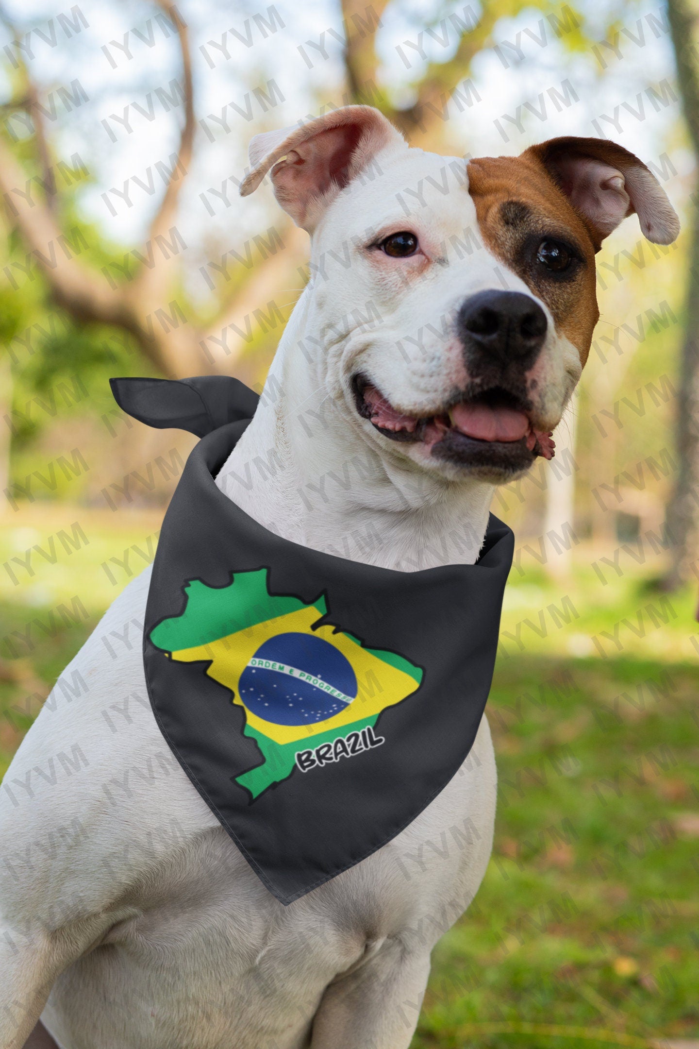 Brazil Map Iron On Heat Transfer Vinyl HTV / Brasília / Federative Republic of Brazil / Brazilian / Brasil / Ordem e Progresso
