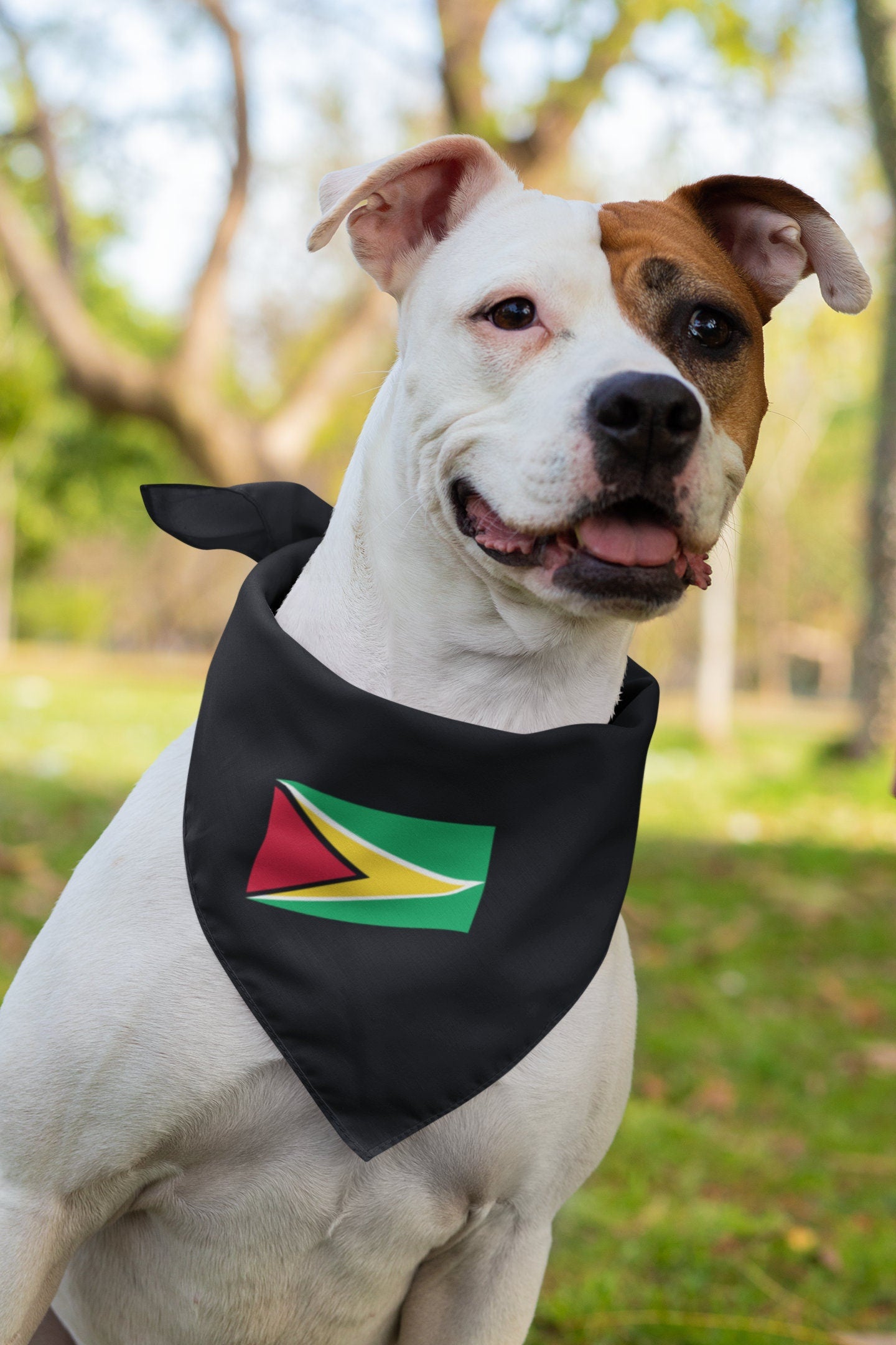 Guyana Flag Iron On Heat Transfer Vinyl HTV / Co‑operative Republic of Guyana / One People, One Nation, One Destiny / Georgetown / Guyanese