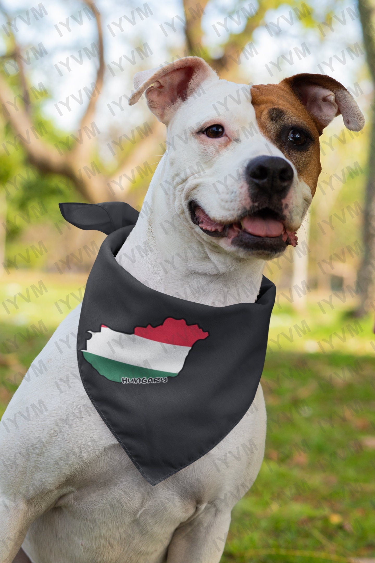 Hungary Map Iron On Heat Transfer Vinyl HTV / Magyarország / Budapest / Hungarian