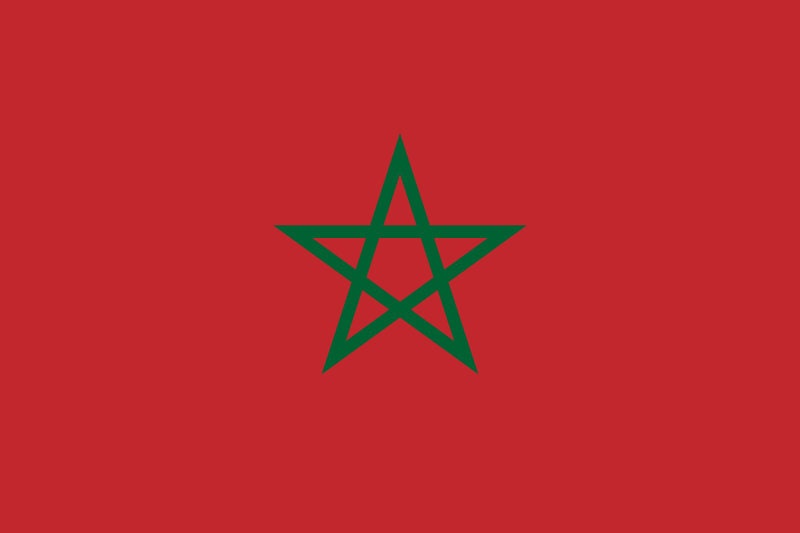 Morocco Flag Iron On Heat Transfer Vinyl HTV / Kingdom of Morocco / المملكة المغربية / Rabat / Moroccan