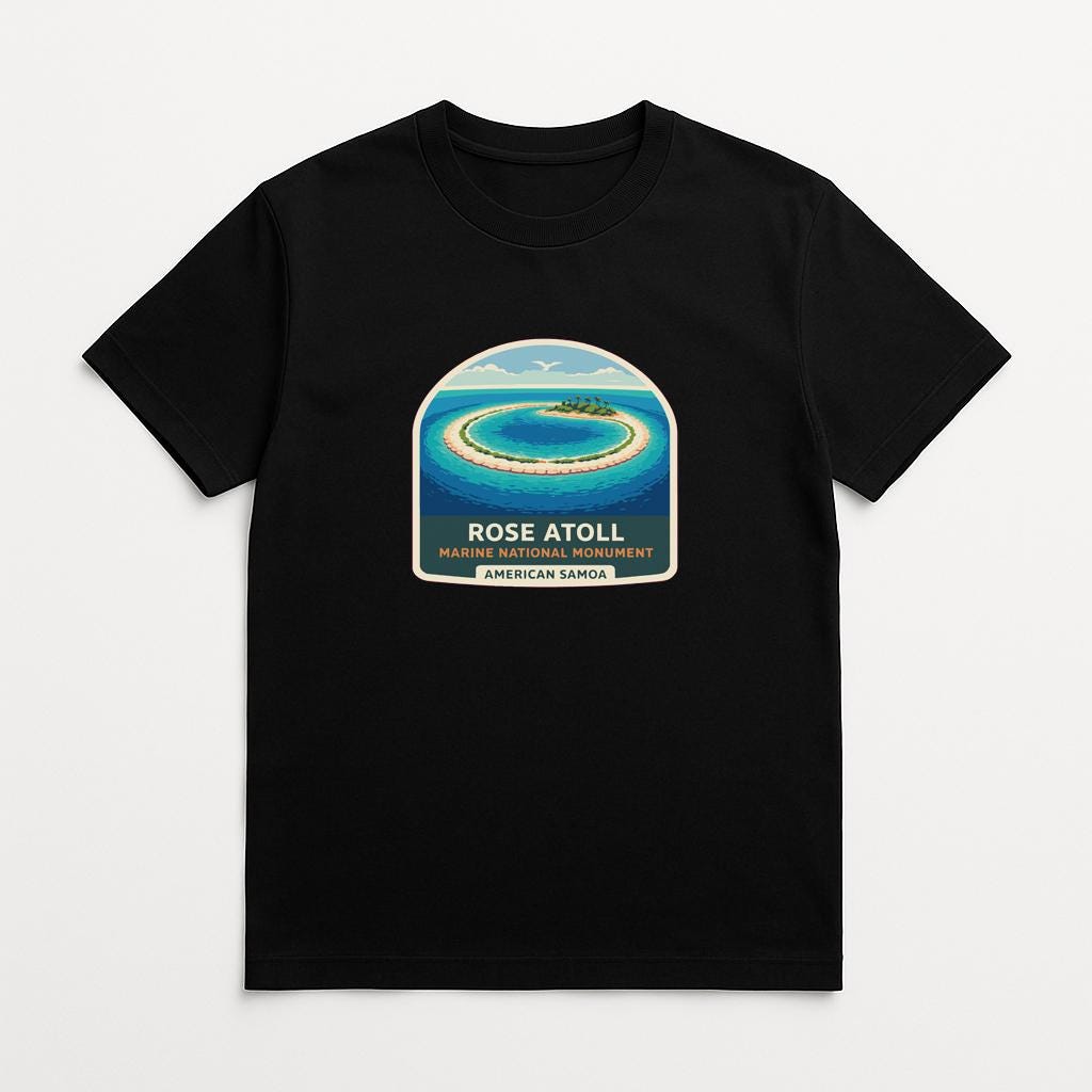 A black t-shirt with a graphic design depicting a tropical island surrounded by turquoise waters.