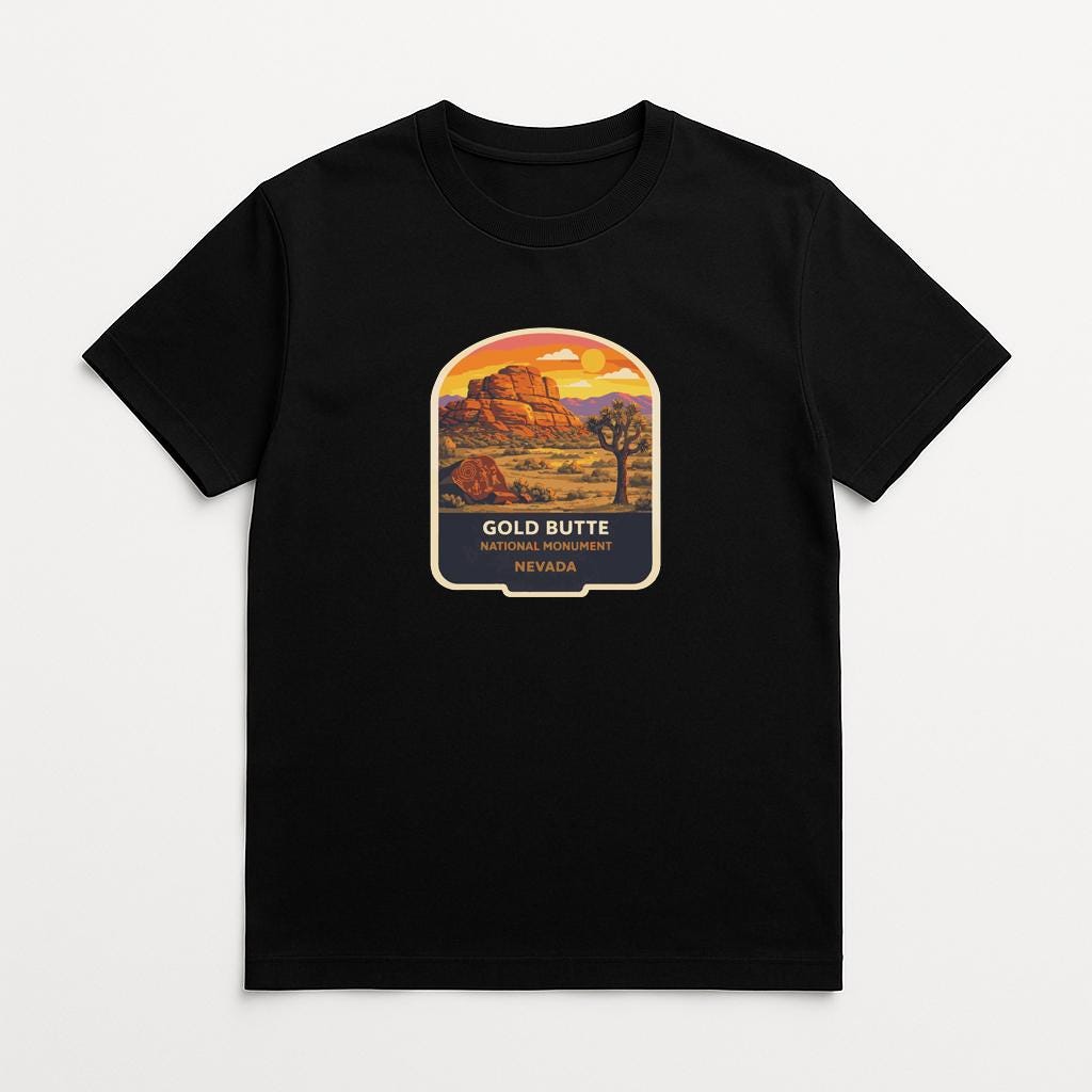 A black t-shirt with a graphic design depicting a desert landscape with a mountain in the background.