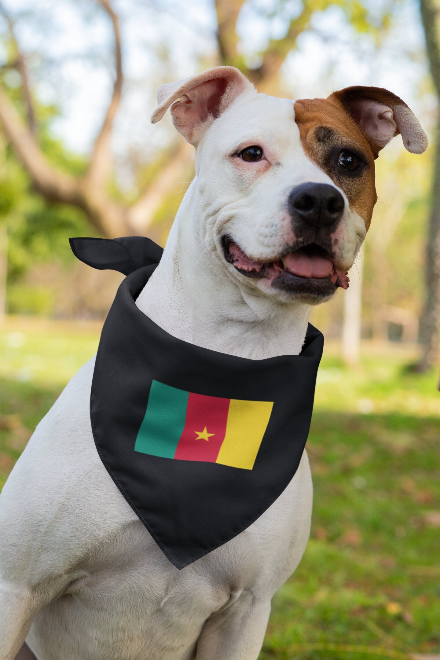 Cameroon Flag Iron On Heat Transfer Vinyl HTV / Republic of Cameroon / Yaoundé / Paix – Travail – Patrie / Cameroonian
