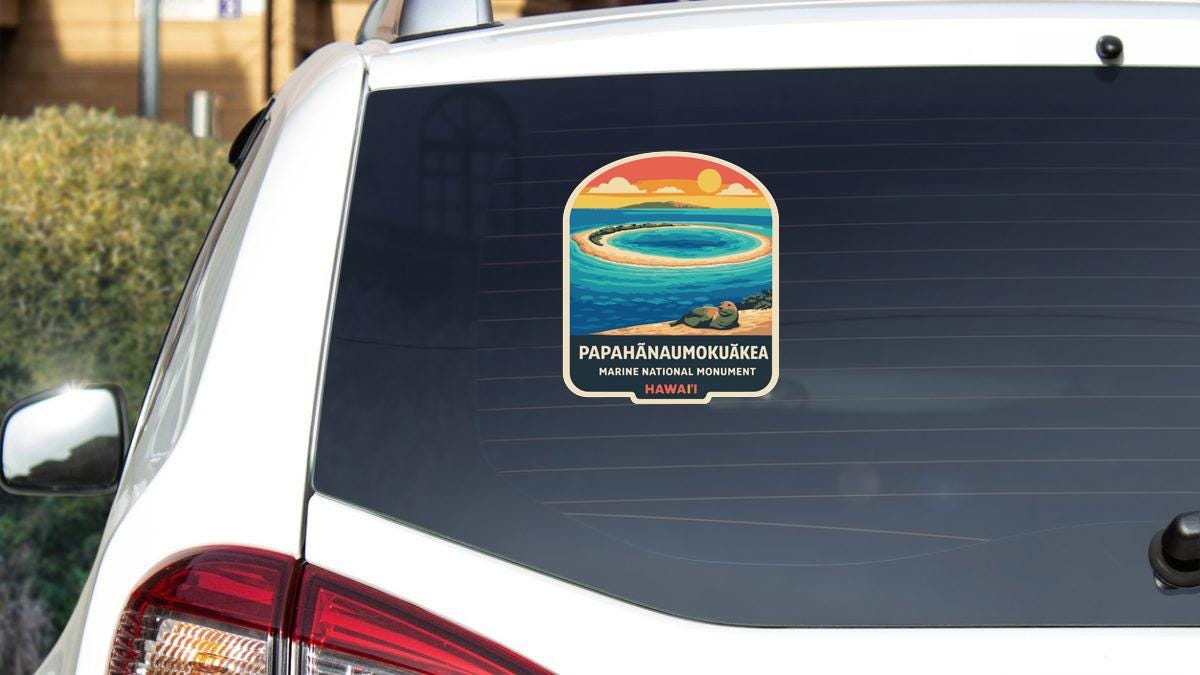 A sticker on the rear window of a white car, depicting a tropical island landscape with a beach and ocean.
