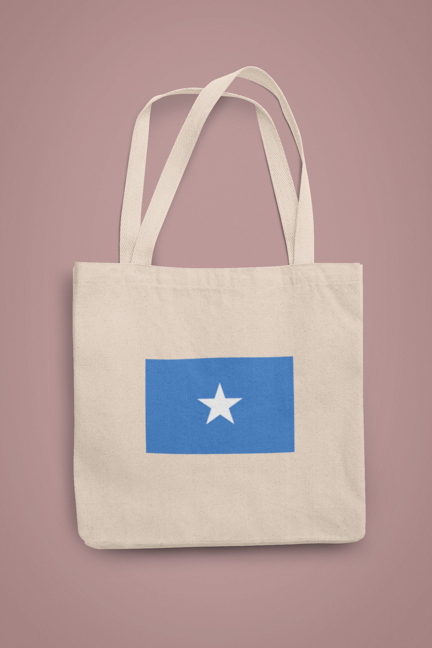 Somalia Flag Iron On Heat Transfer Vinyl HTV Federal Republic of Somalia / Jamhuuriyadda Federaalka Soomaaliya / Mogadishu / Somali Somalian