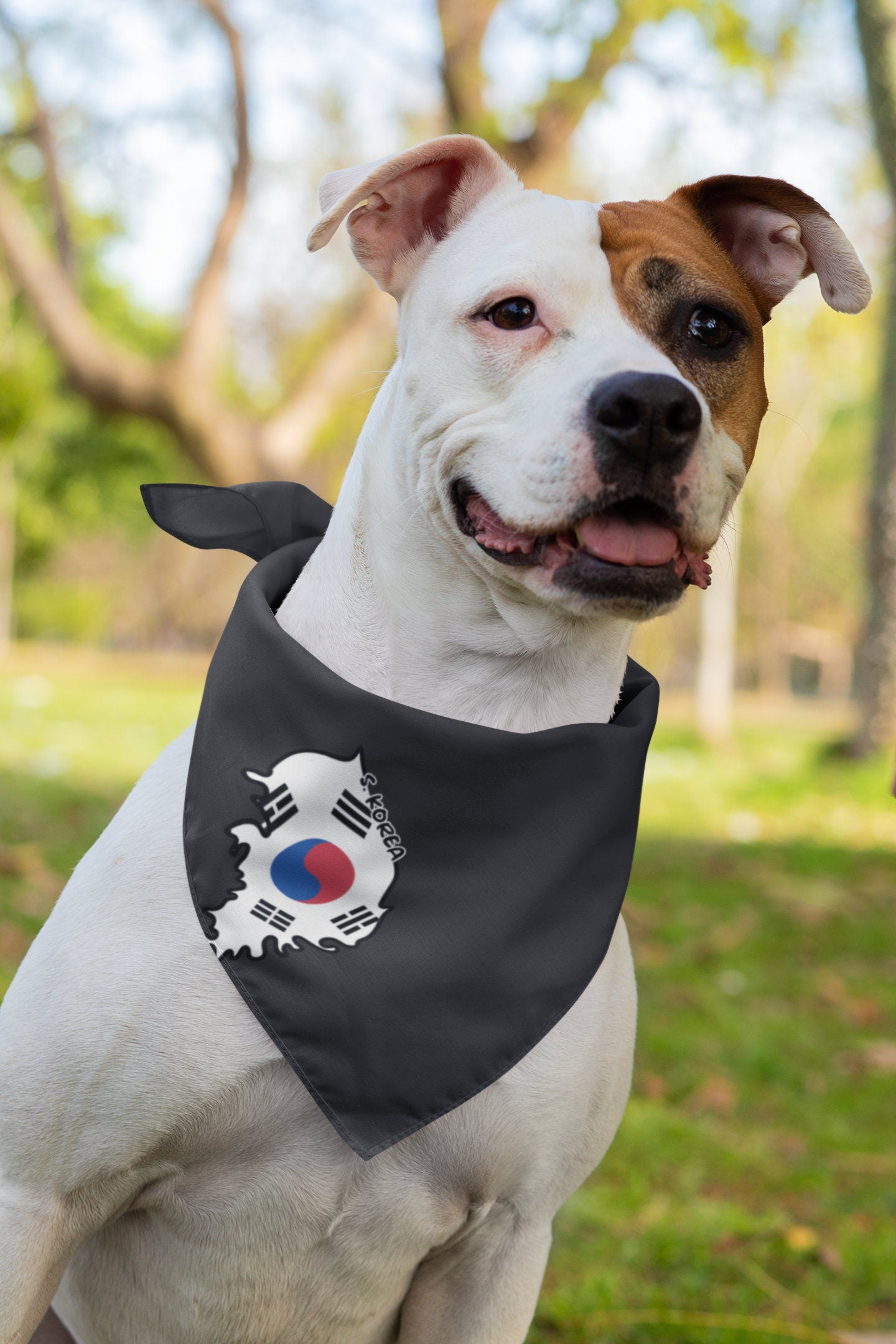 South Korea Map Iron On Heat Transfer Vinyl HTV / Republic of Korea / Seoul / Korean