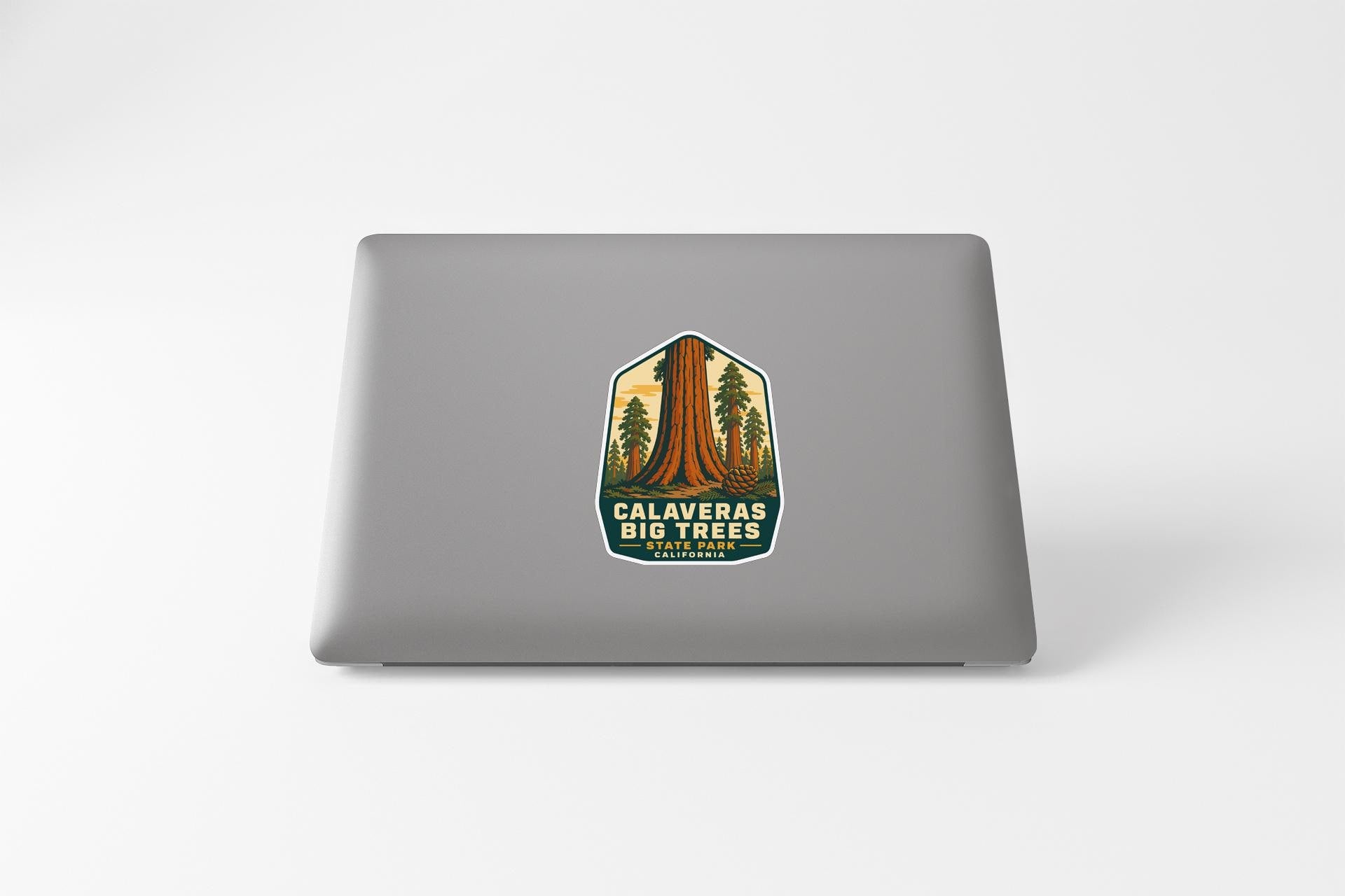 a sticker on the back of a laptop that says "CALVERAS BIG TREES" and "CALVERAS BIG TREES" is written in green.
