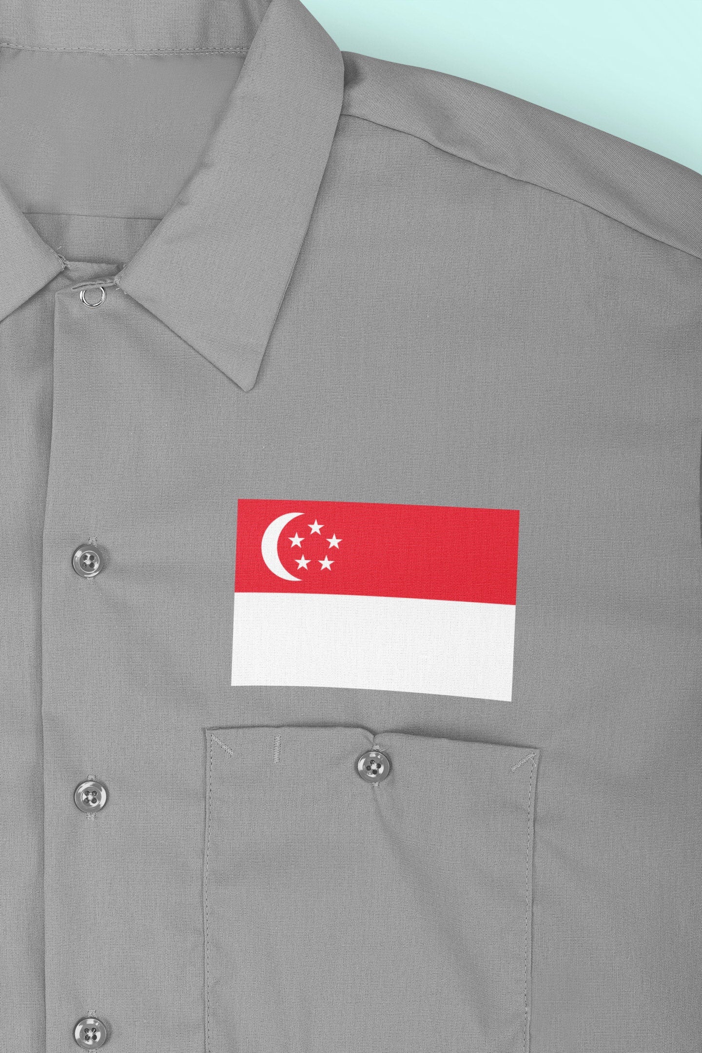 Singapore Flag Iron On Heat Transfer Vinyl HTV / Republic of Singapore / Majulah Singapura / Singaporean /