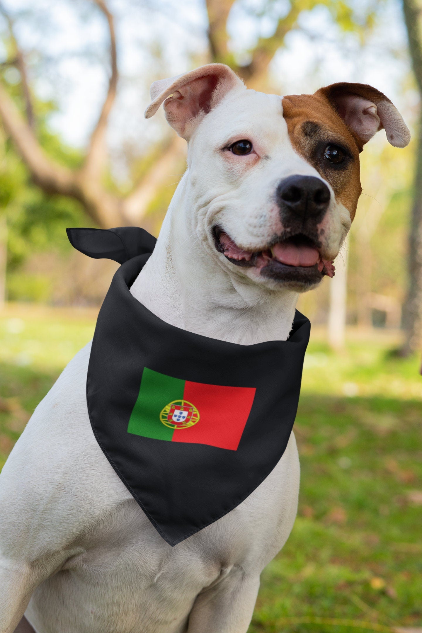 Portugal Flag Iron On Heat Transfer Vinyl HTV / Portuguese Republic / Esta é a ditosa Pátria minha amada / Lisbon / Portuguese